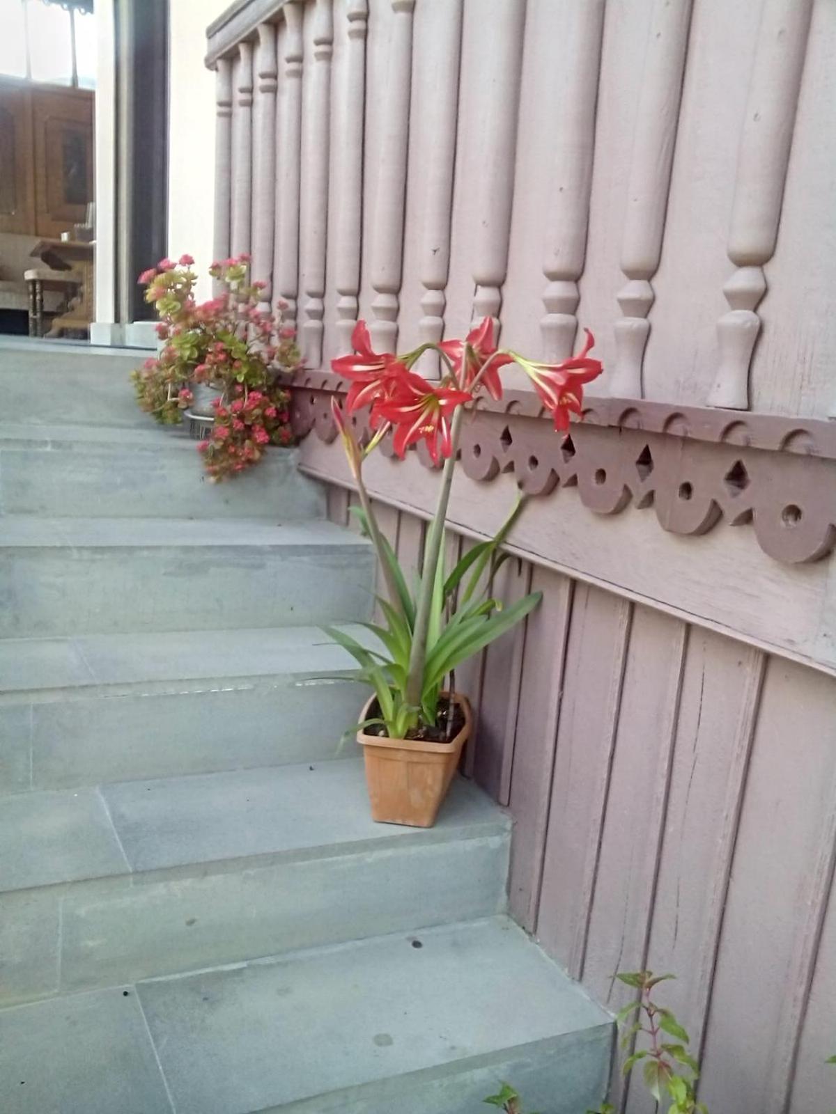 ARTSIV Guesthouse