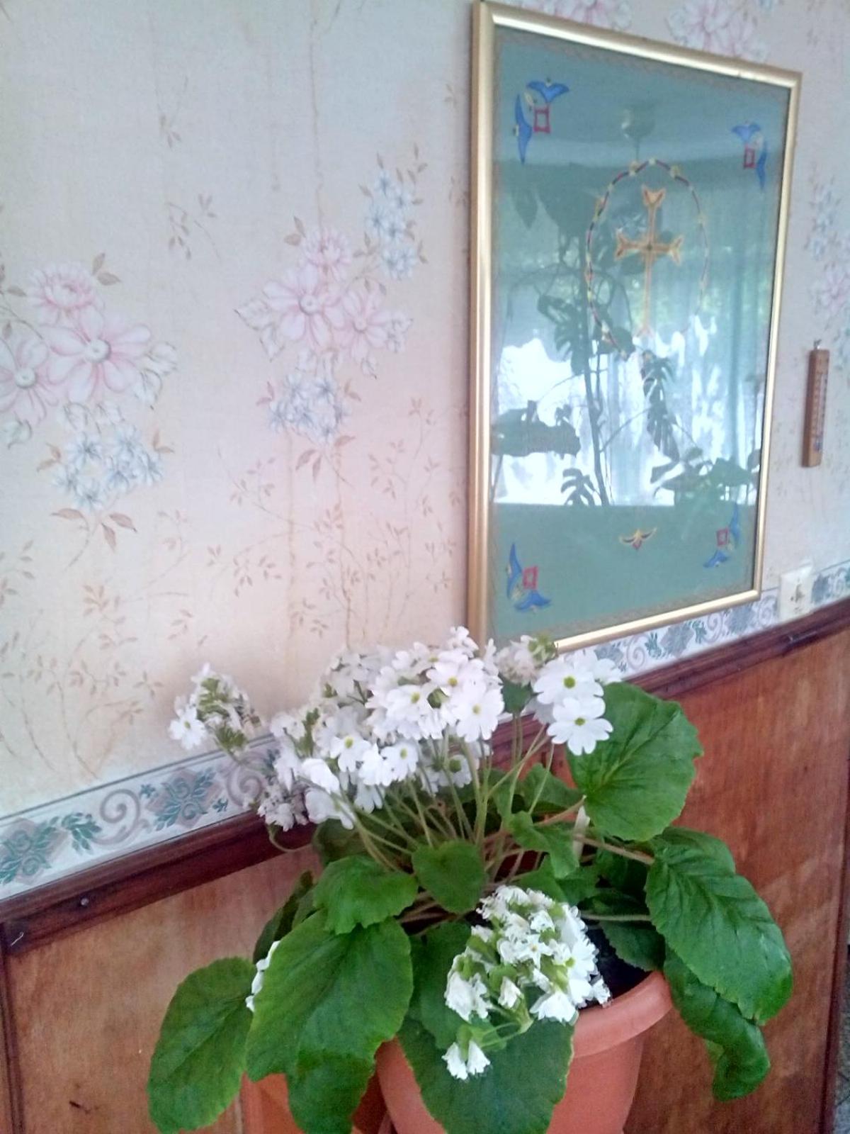 ARTSIV Guesthouse