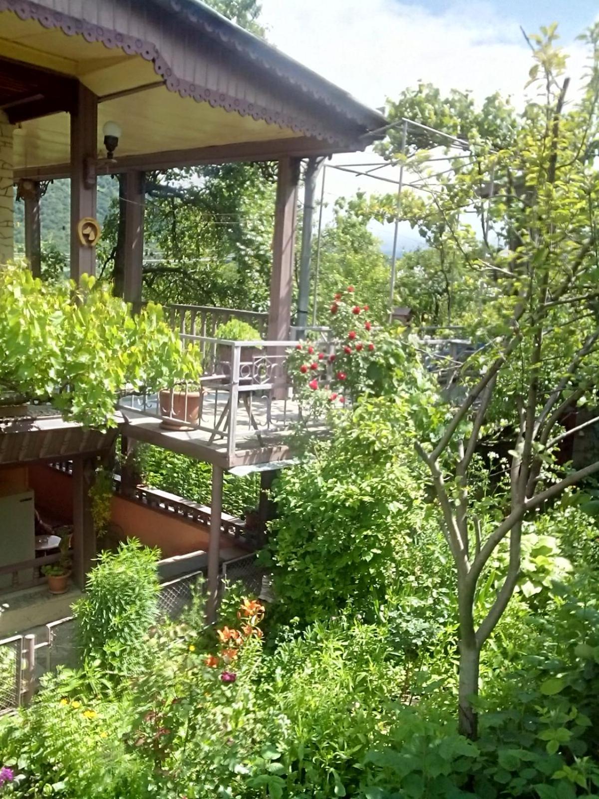ARTSIV Guesthouse