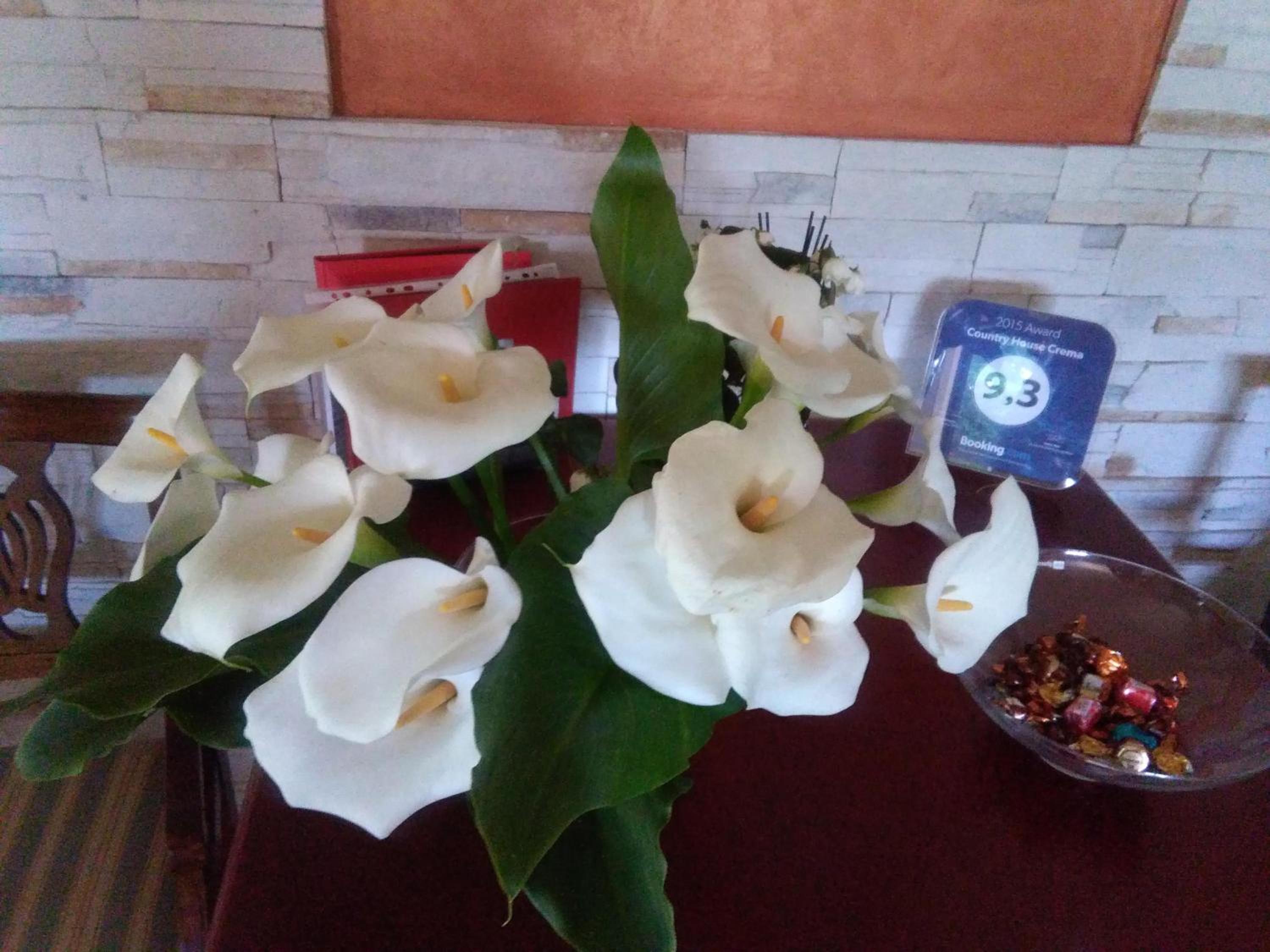 Photo 57