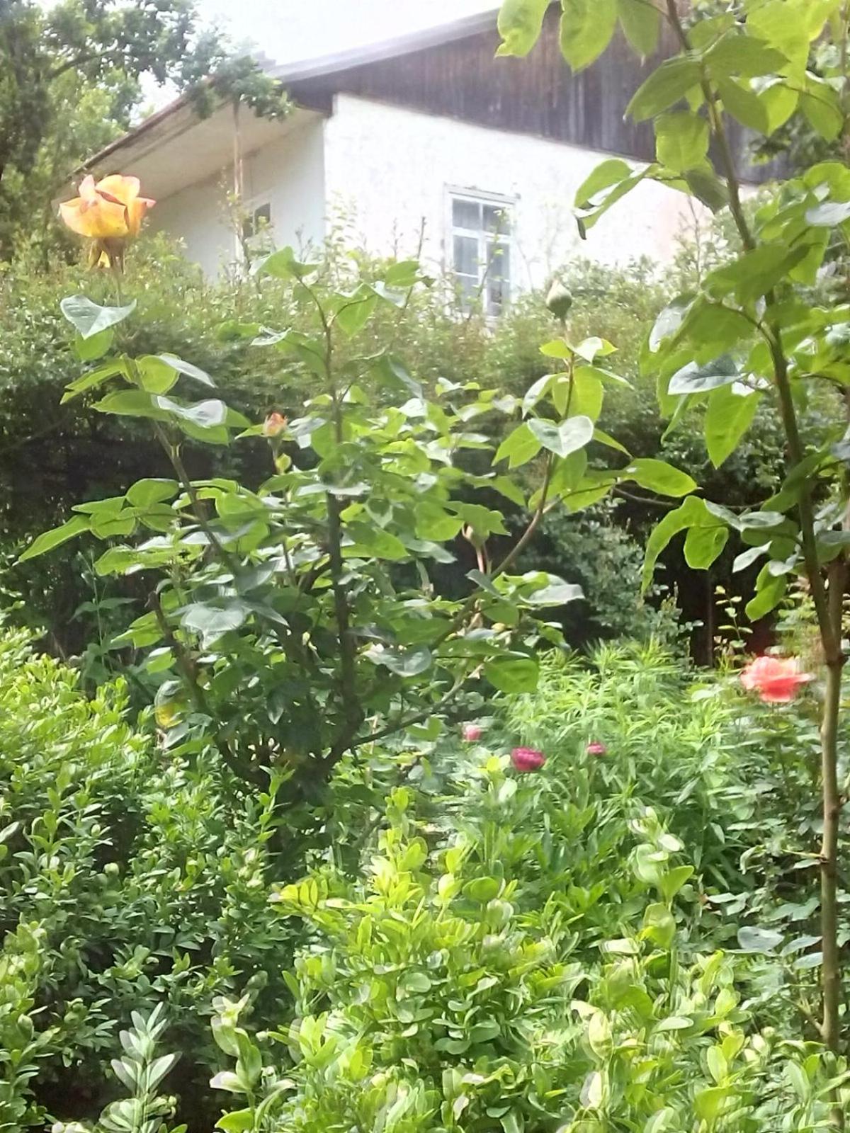 ARTSIV Guesthouse