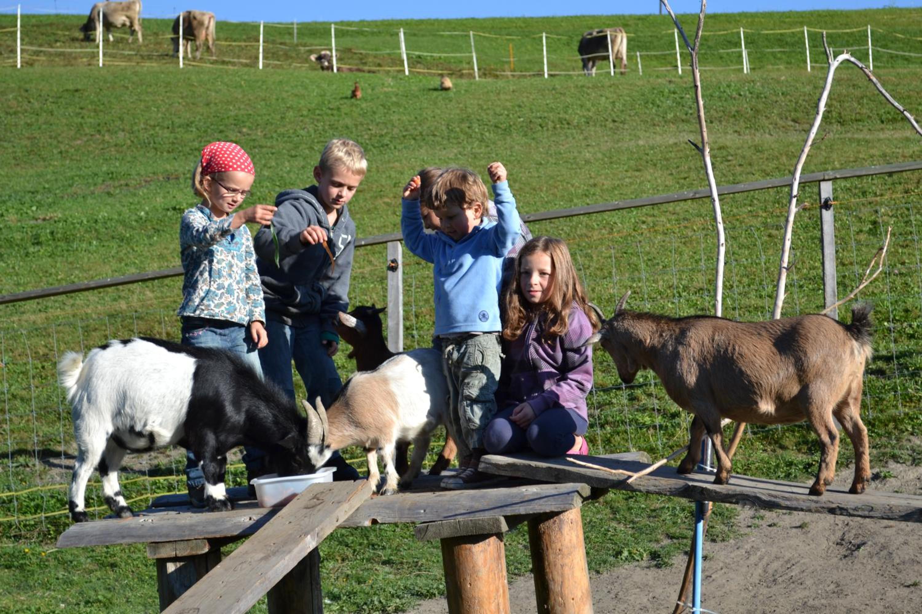 Gasthaus Alpina