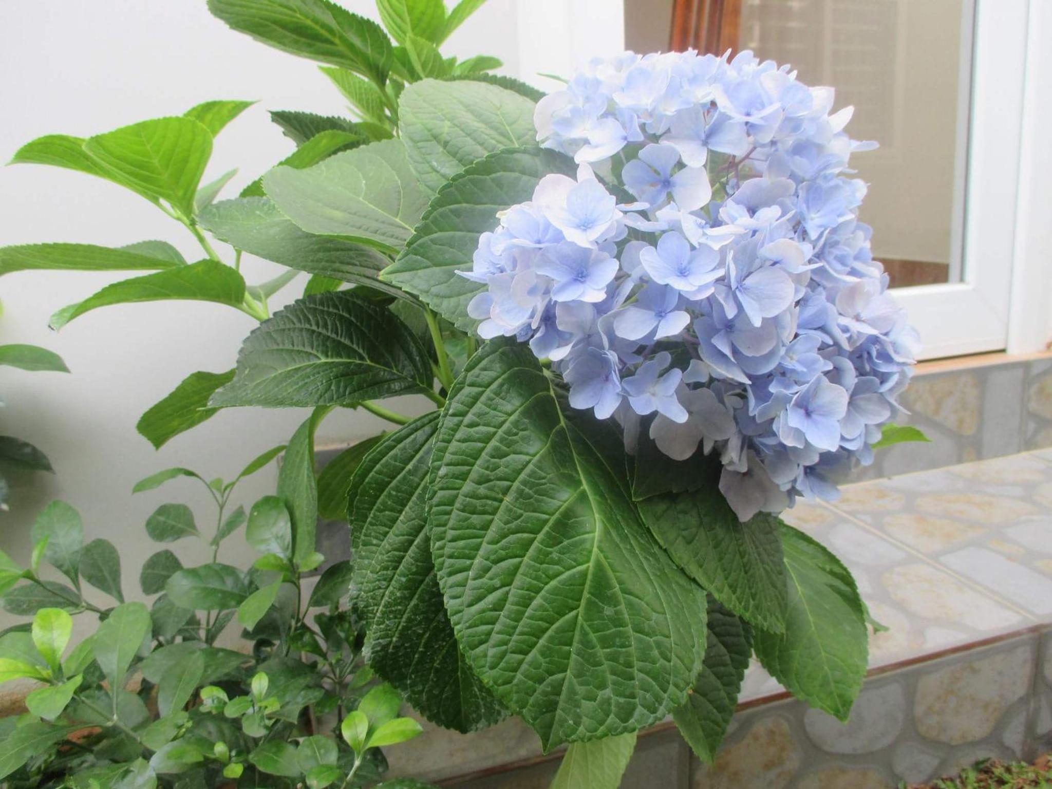 Photo 44