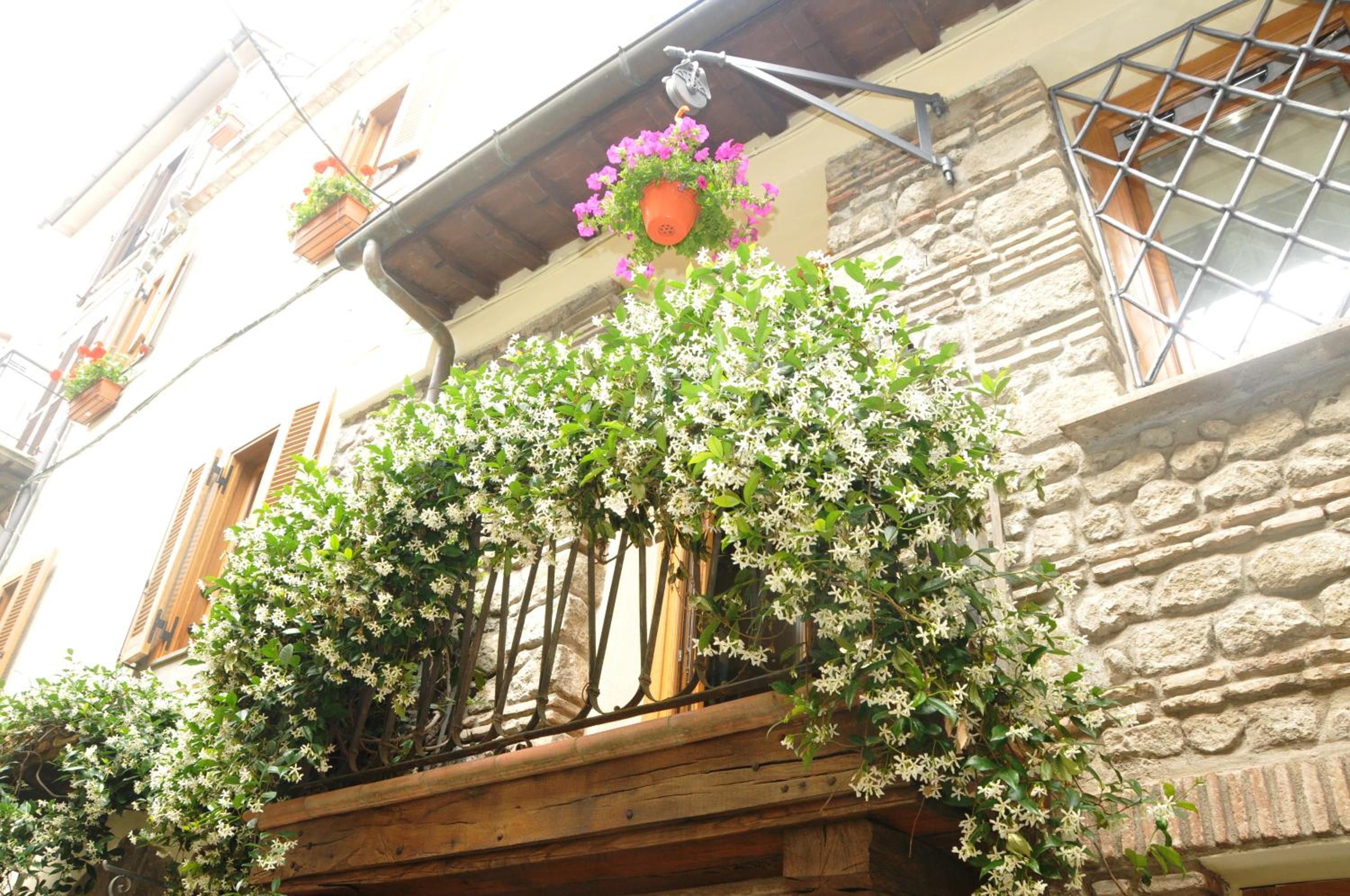 Atlantis Inn Castelgandolfo