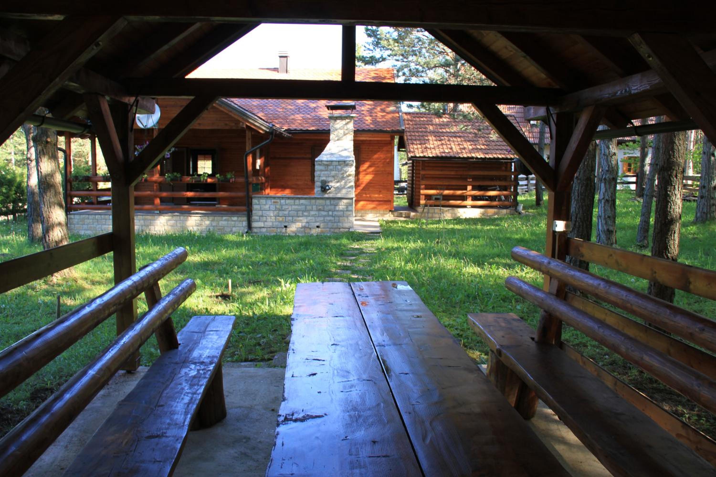 Photo 19