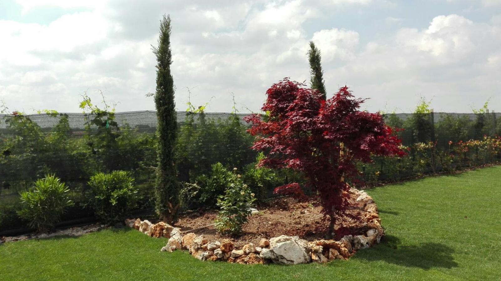 Photo 20