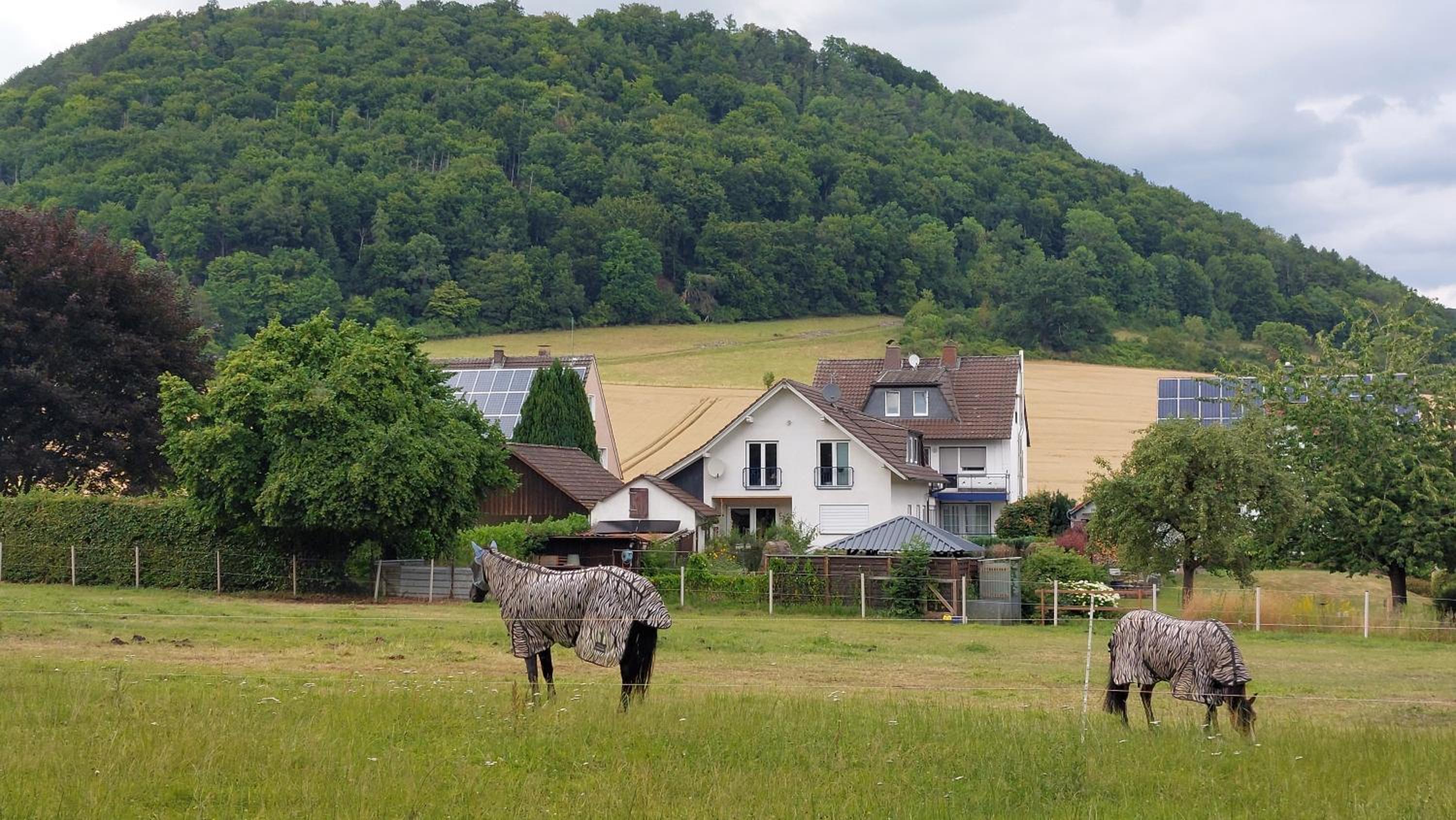 Ferienapartment MW 2b Höxter Weserbergland an der Weser inkl Küche, Wäsche, LAN, Parkplatz, Self CheckIn