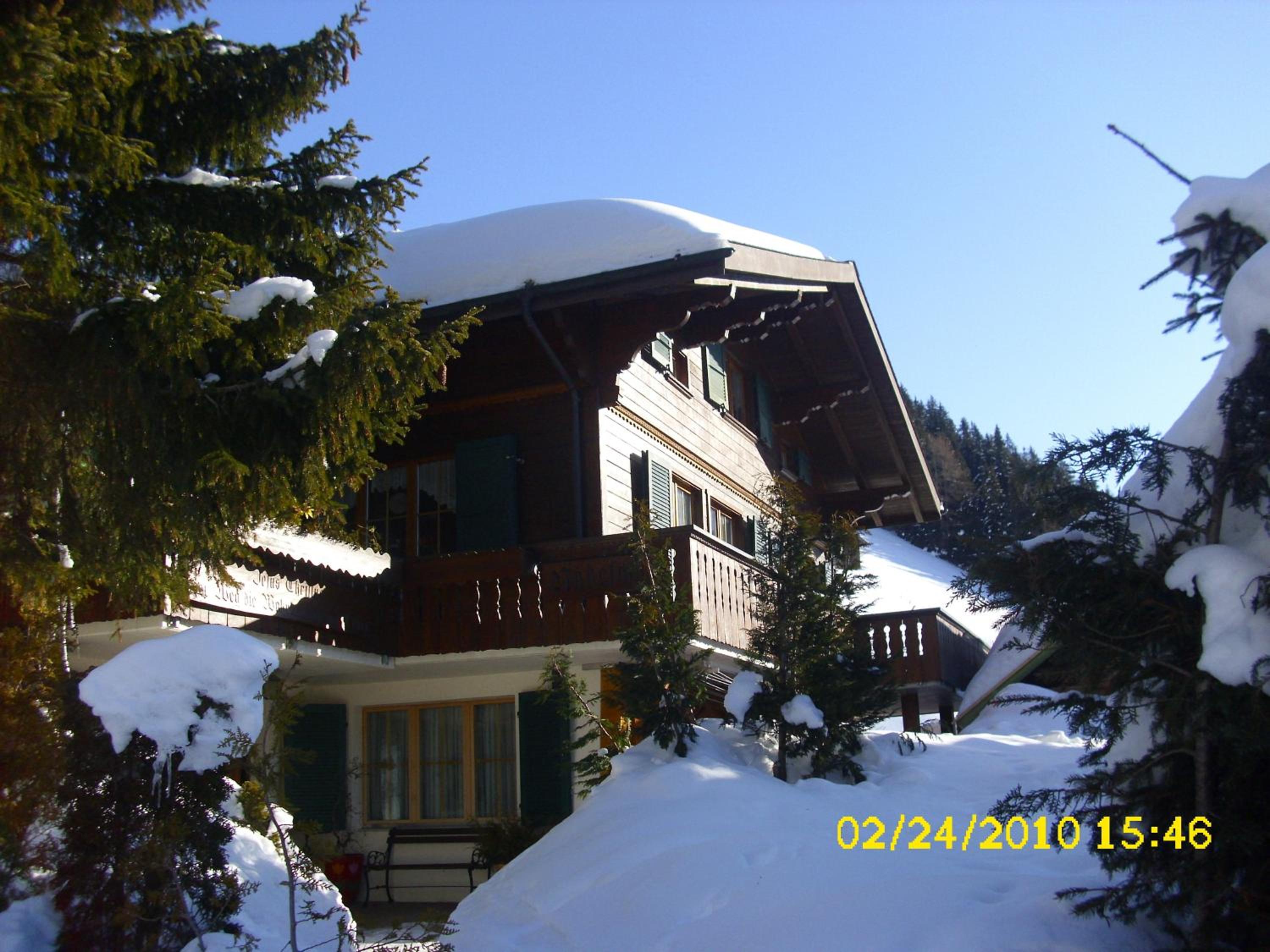 Photo 15