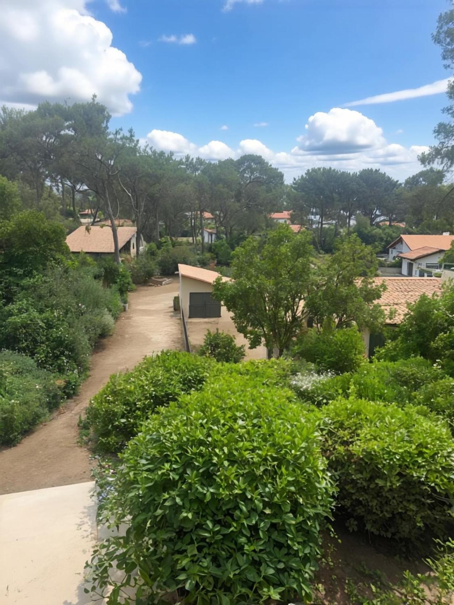 Villa Horizon