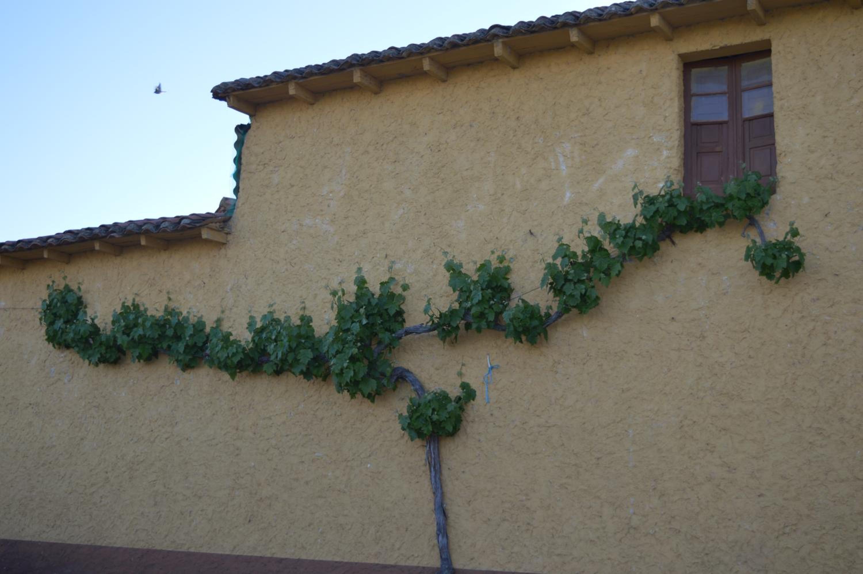 Casa Rural Los Lláganos view 5