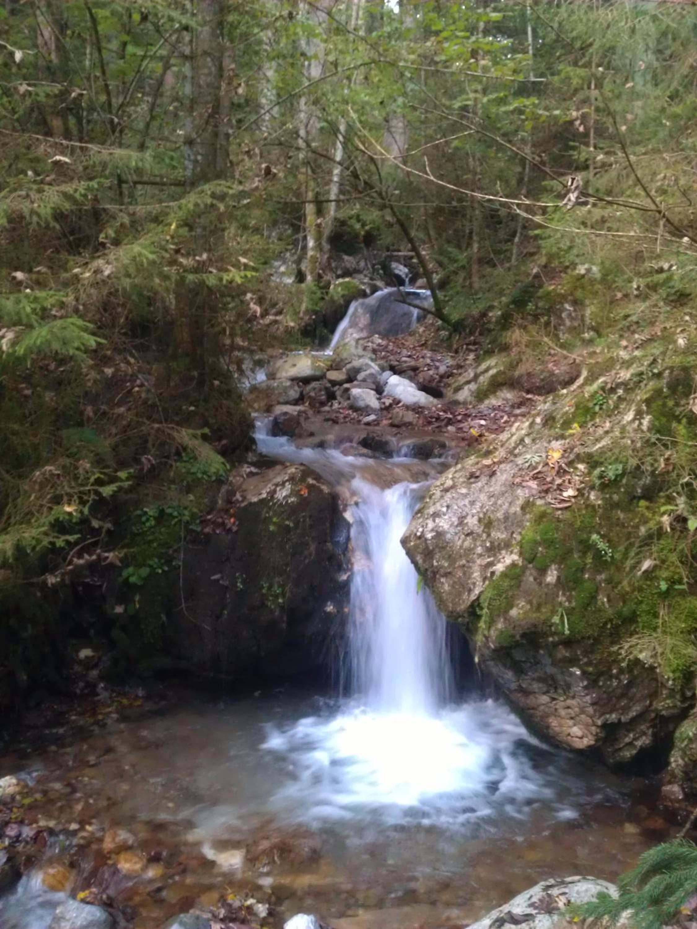 Bio-Bauernhof Einberghof view 5