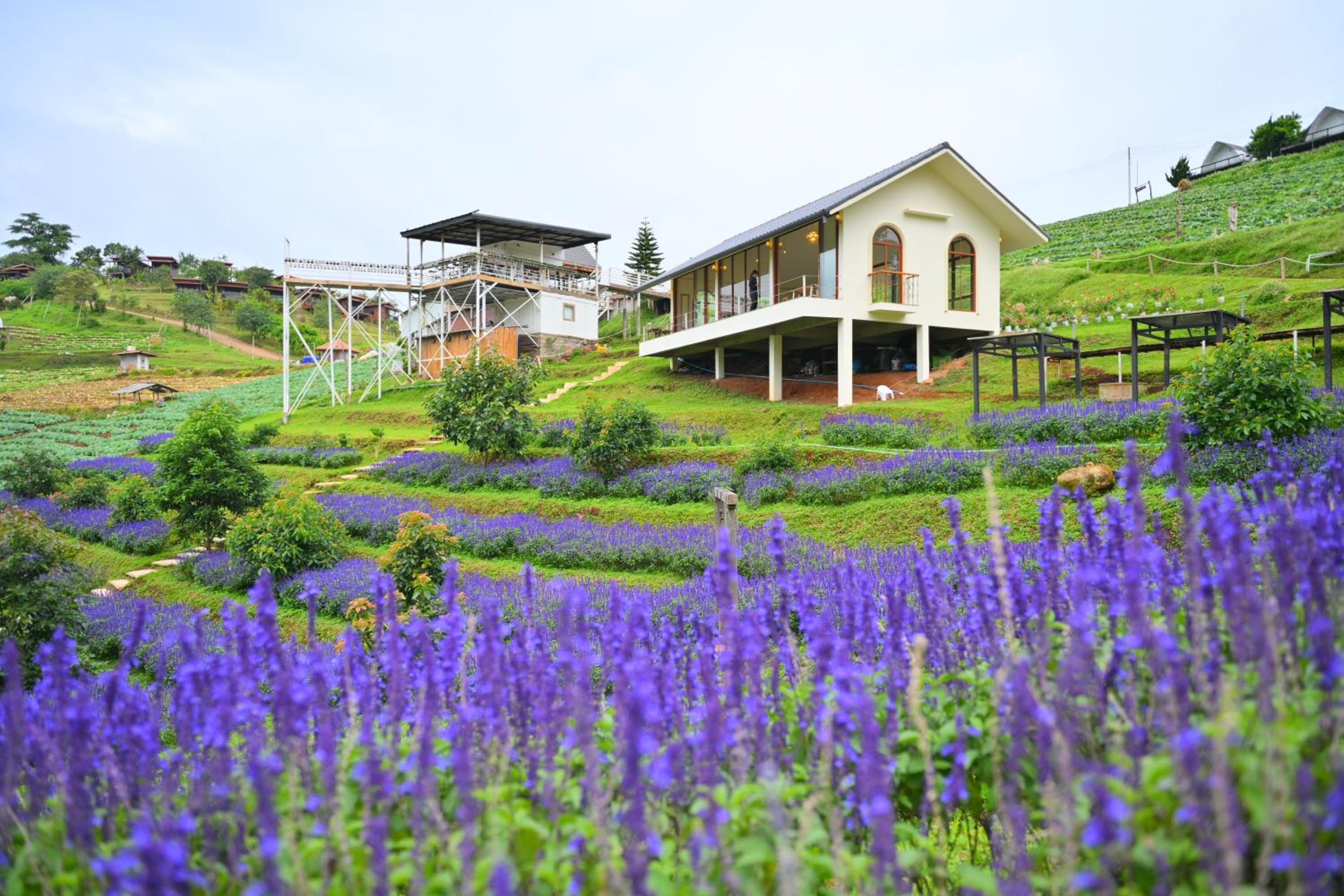ภูวินคาเฟ่ โฮมสเตย์ Phuwin Homestay Monjam