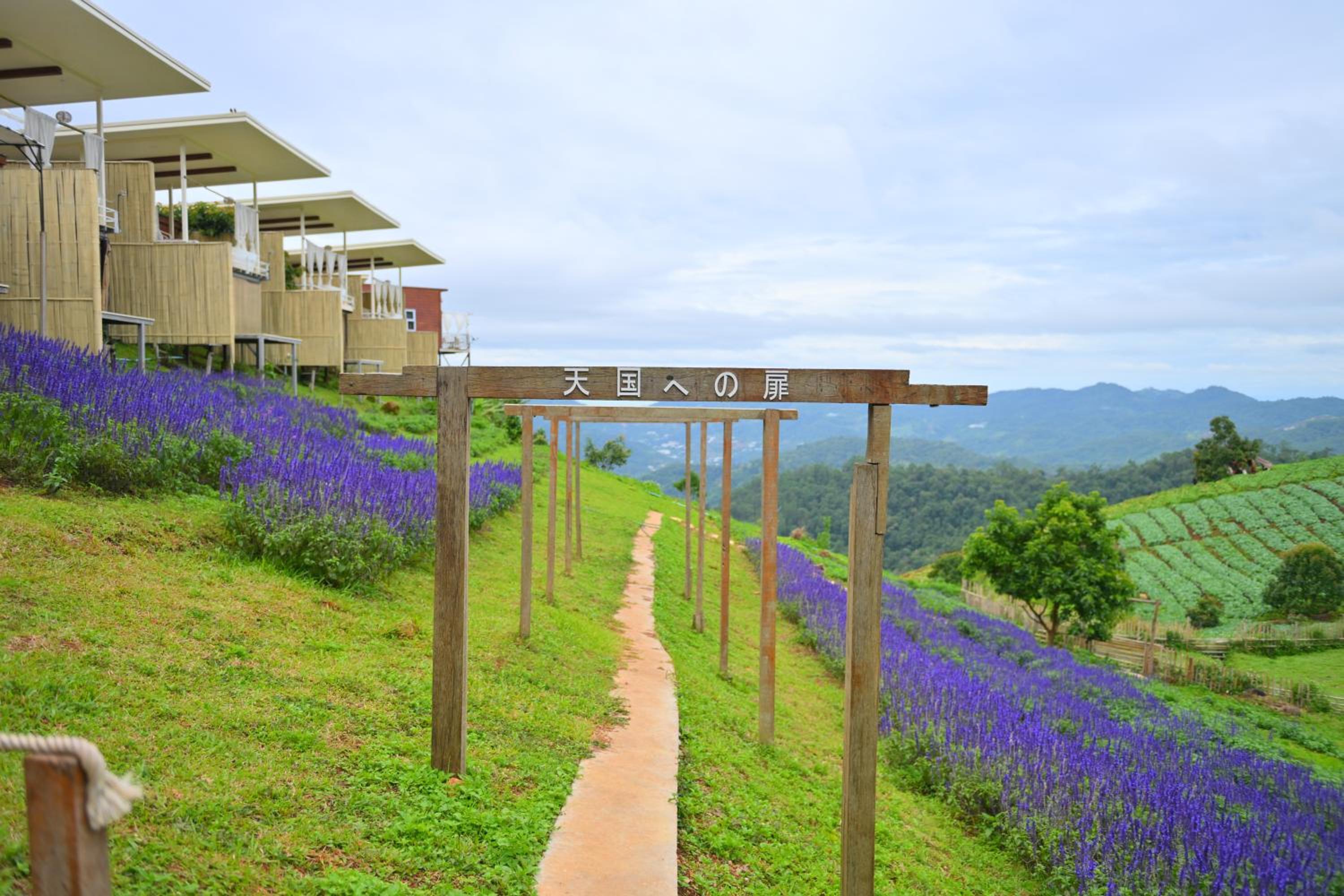 ภูวินคาเฟ่ โฮมสเตย์ Phuwin Homestay Monjam