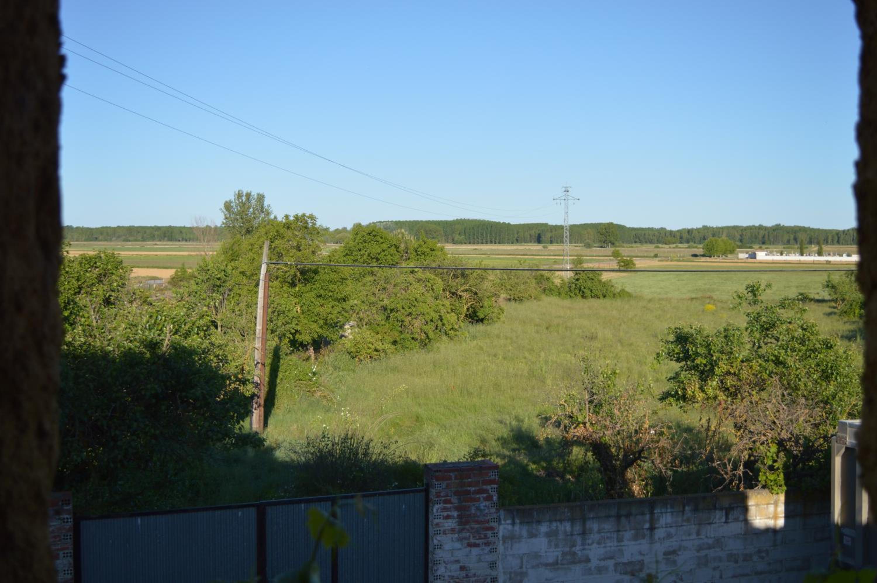 Photo 37