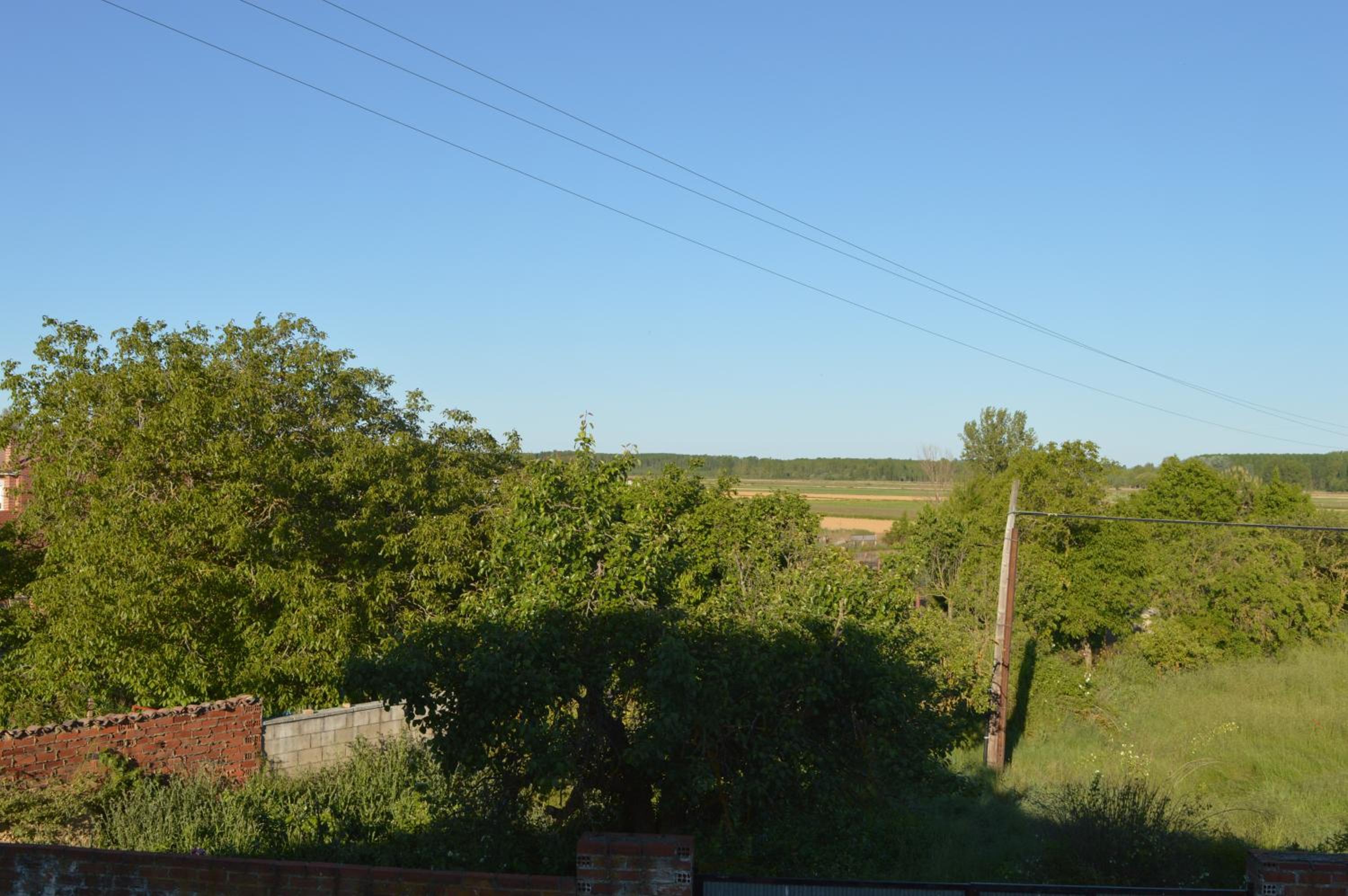 Photo 36