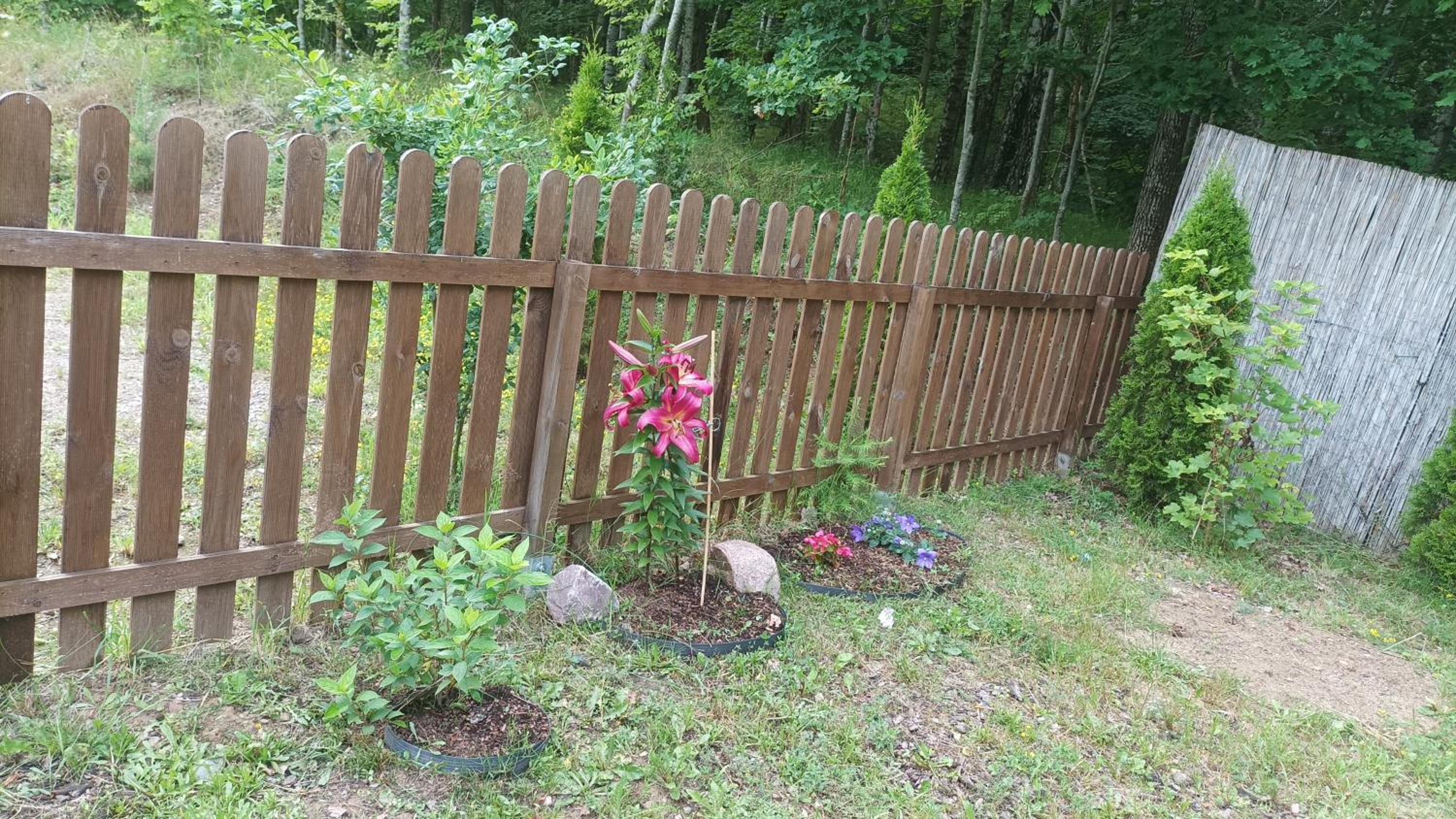 Photo 5