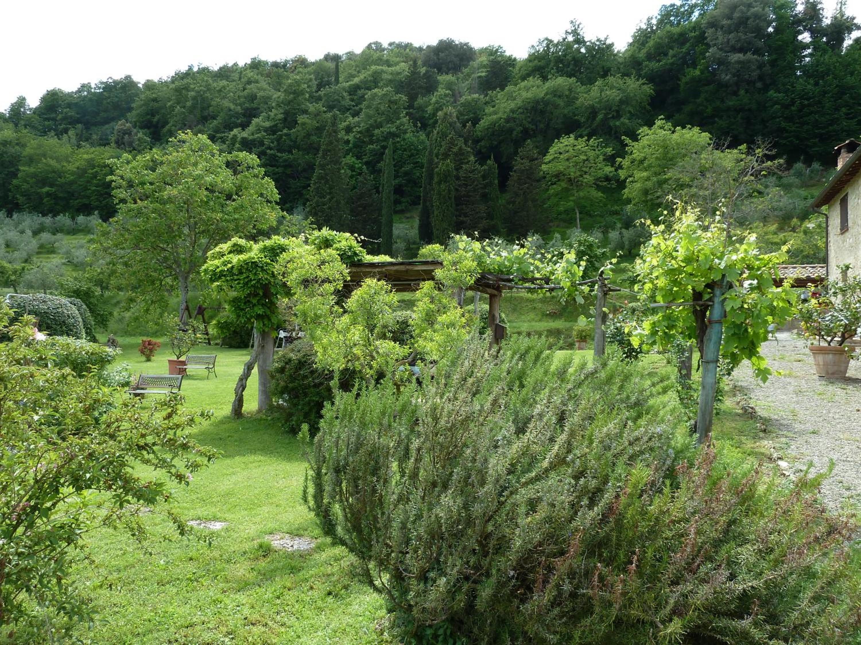 Photo 11