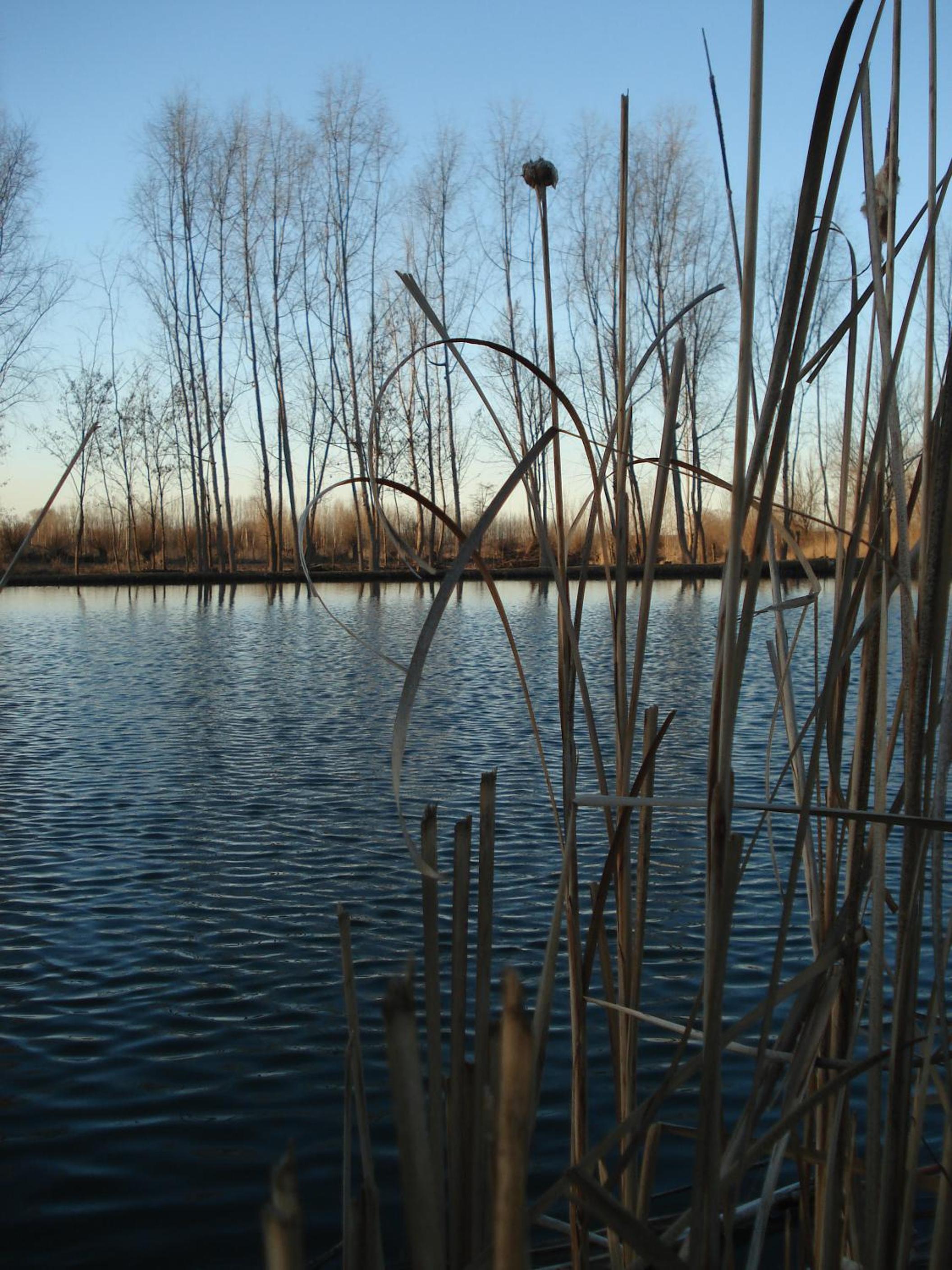 Caminos De Uco - posada de campo-