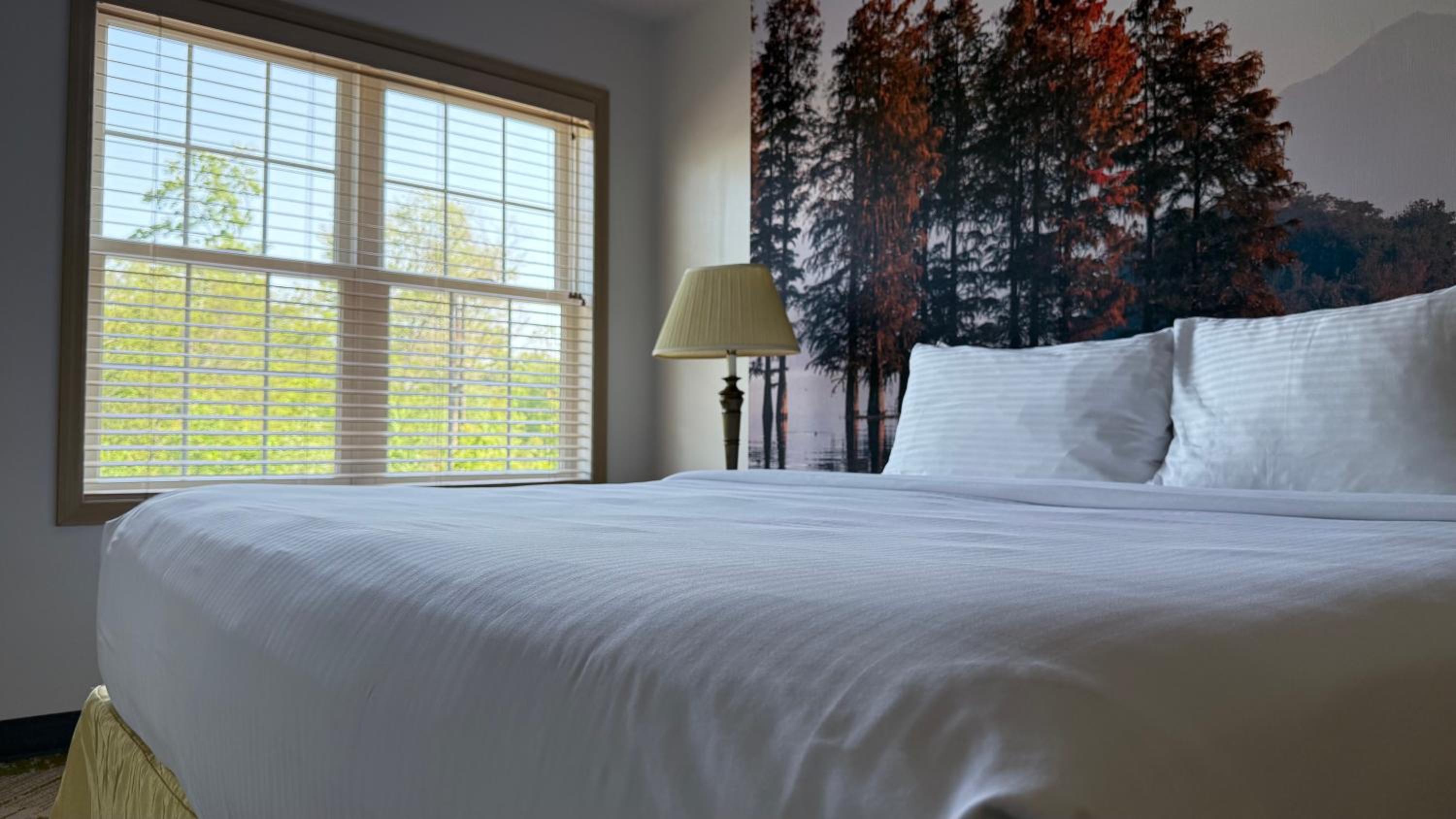 Split Rock Resort