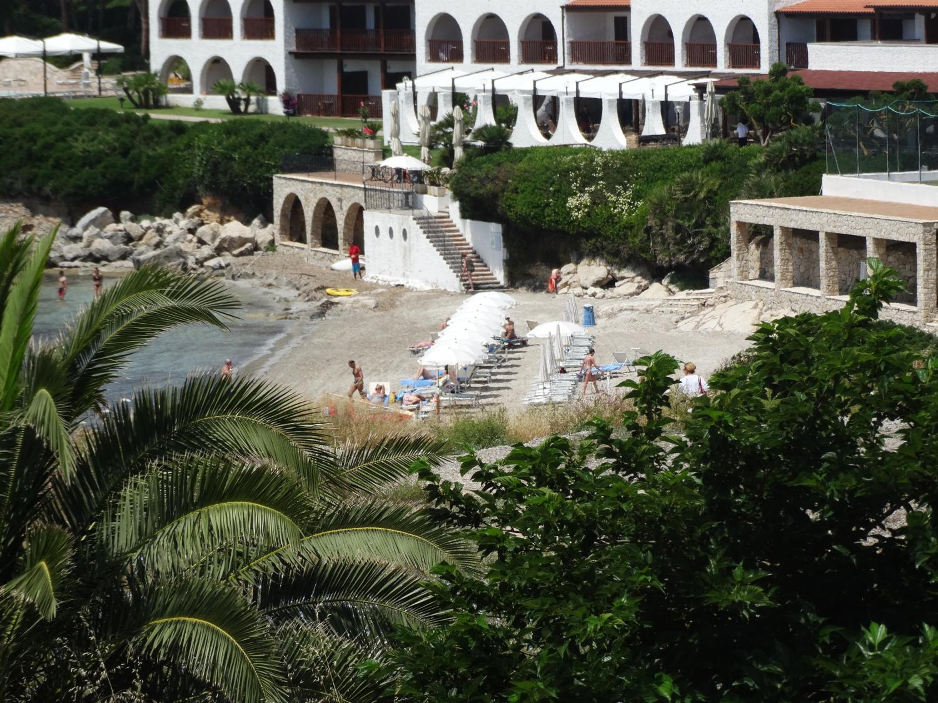 Photo 11