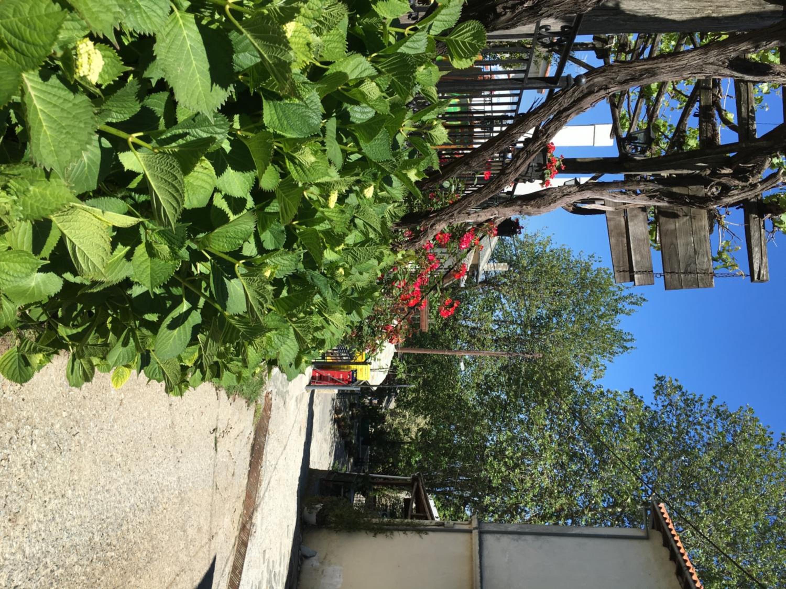 Photo 49