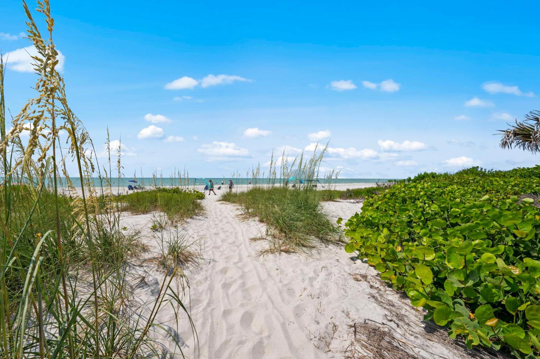 Steps to beach Bikes & Beach Gear Weekly Stays