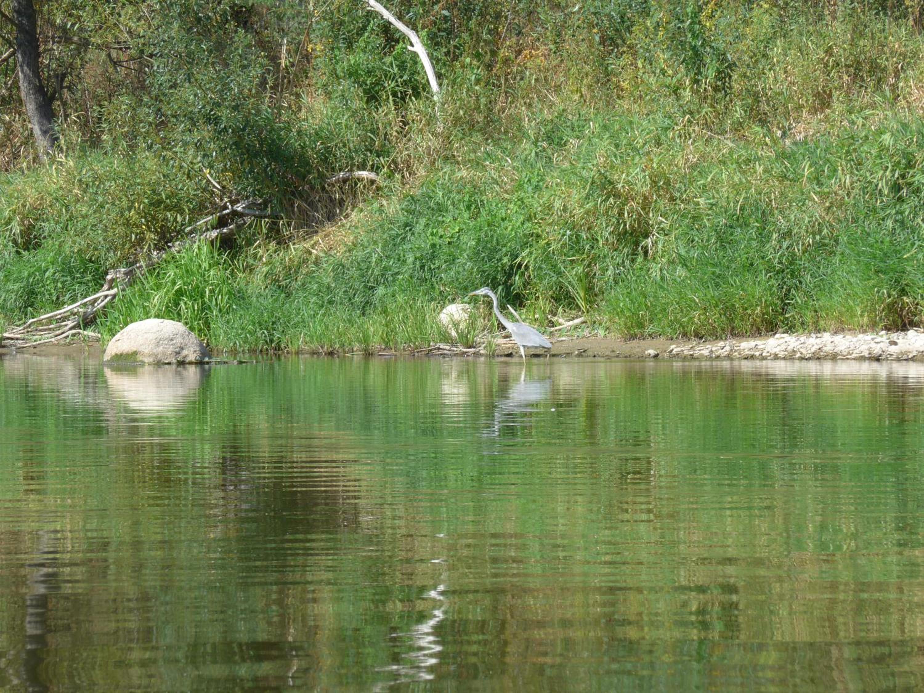 Photo 47