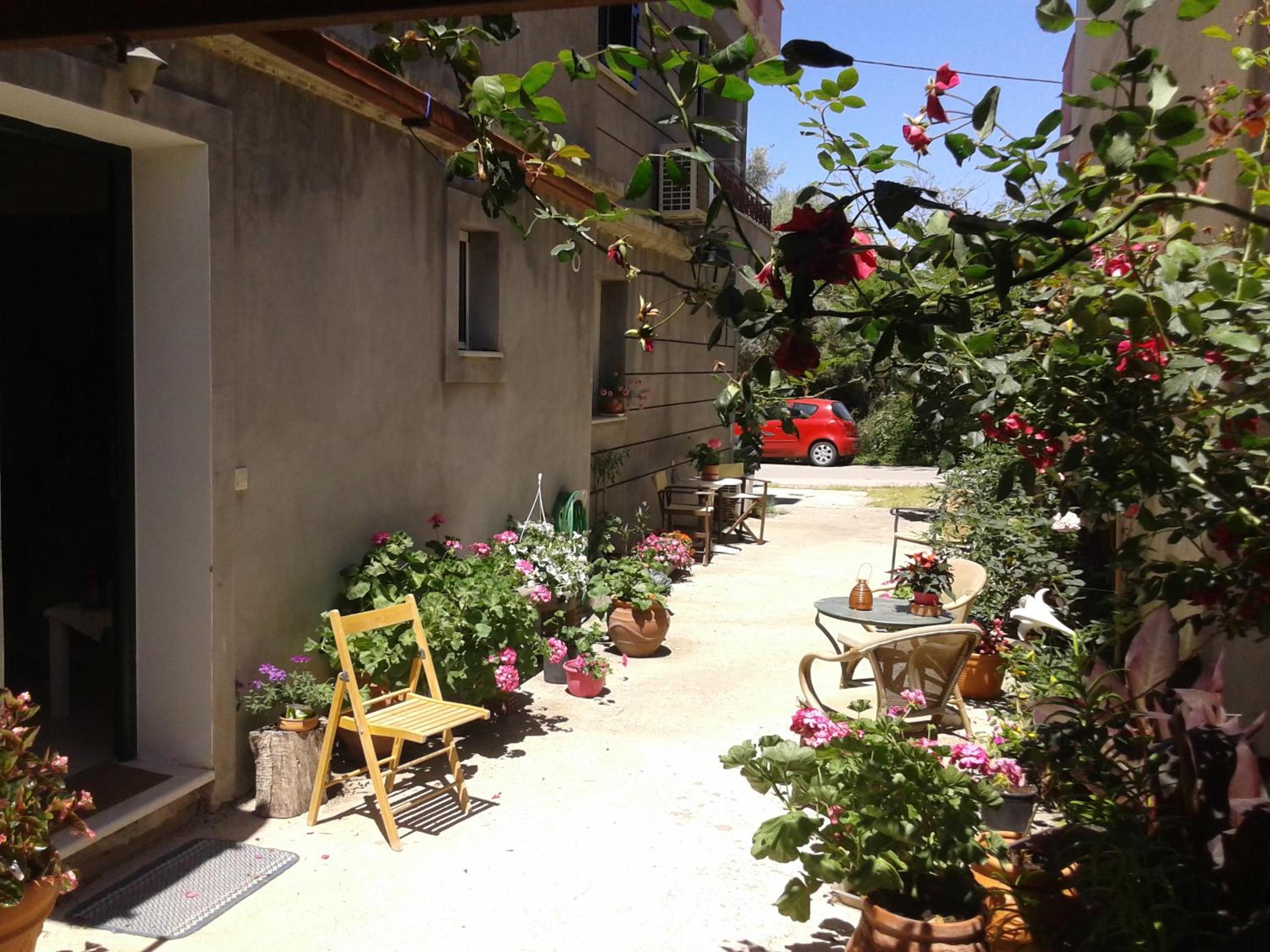 Photo 15