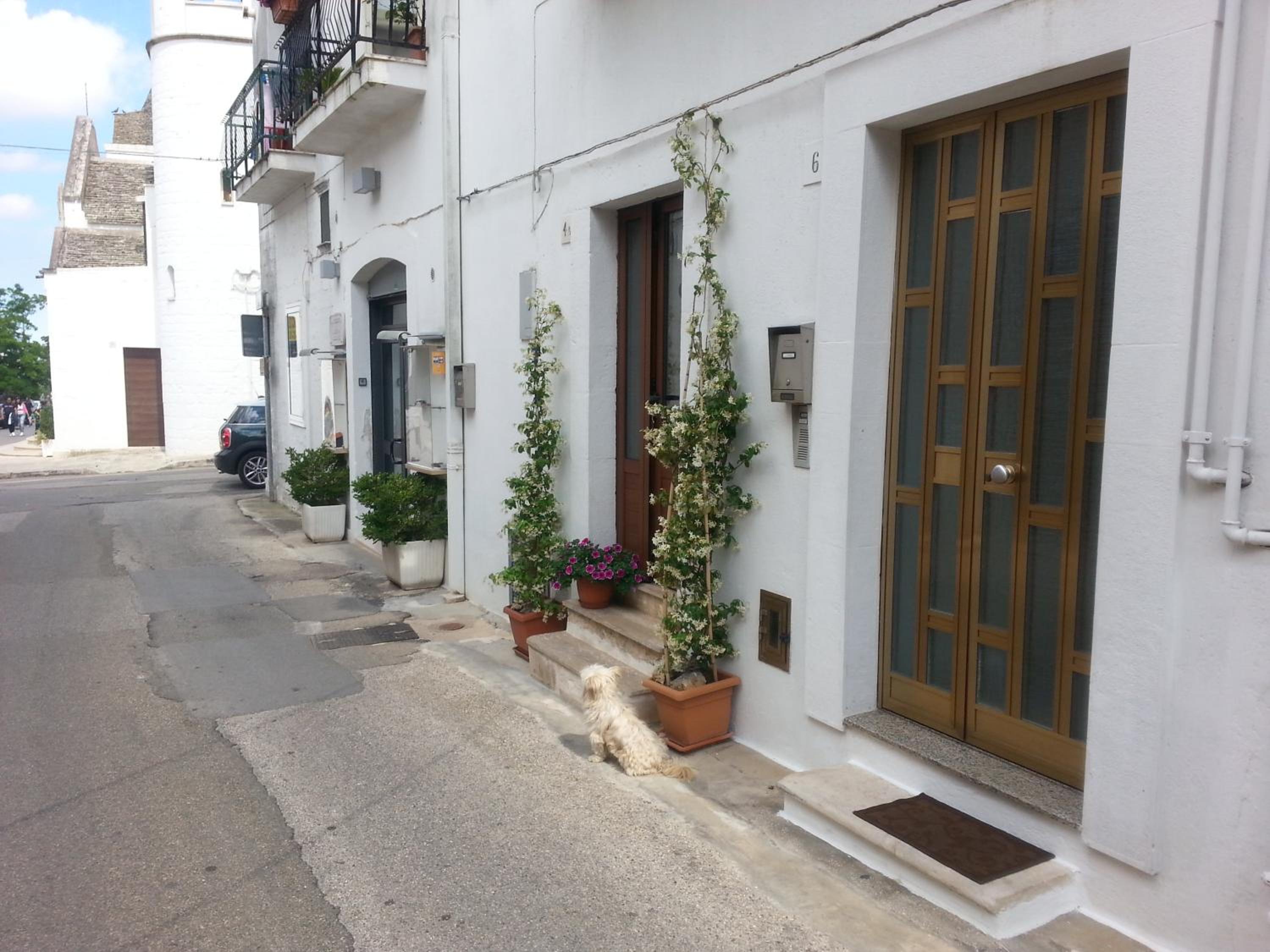 Nonno Angelo - nel cuore dei Trulli view 2