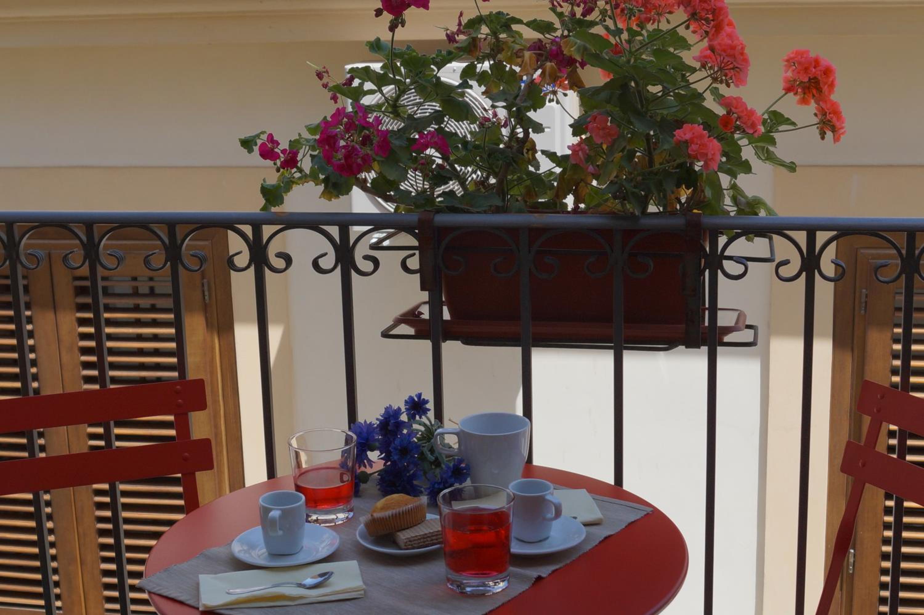 balance & terrace