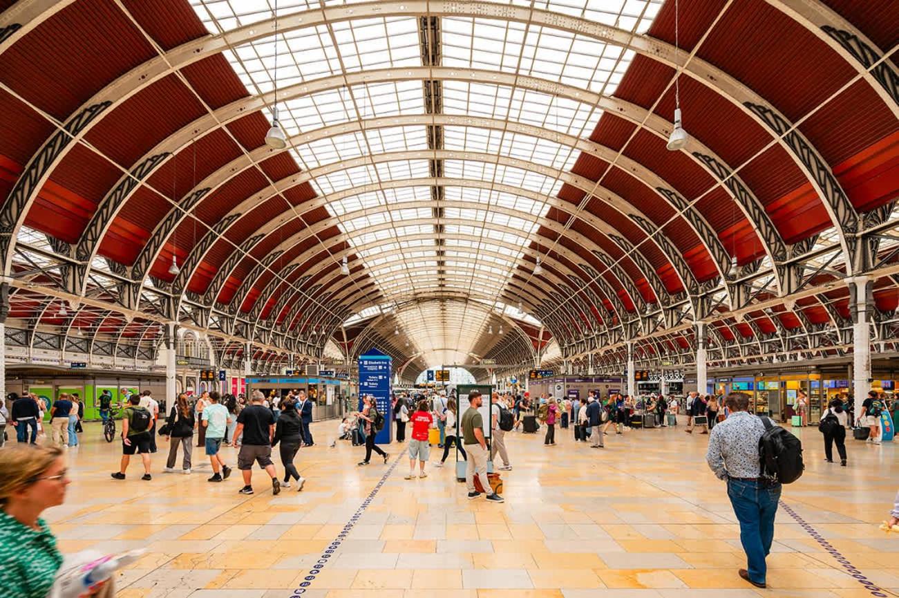 The Paddington Professional - by Out of Office Lifestyle
