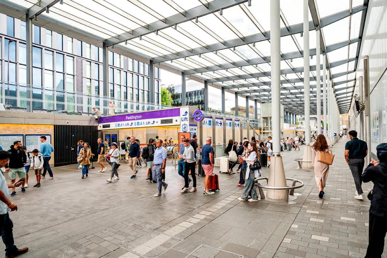 The Paddington Professional - by Out of Office Lifestyle
