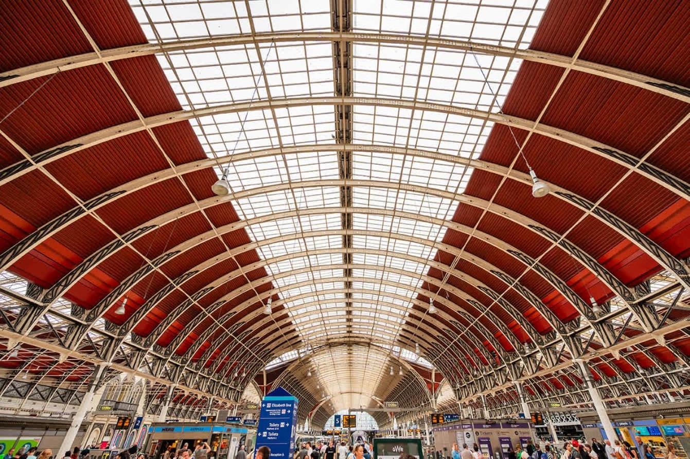 The Paddington Professional - by Out of Office Lifestyle