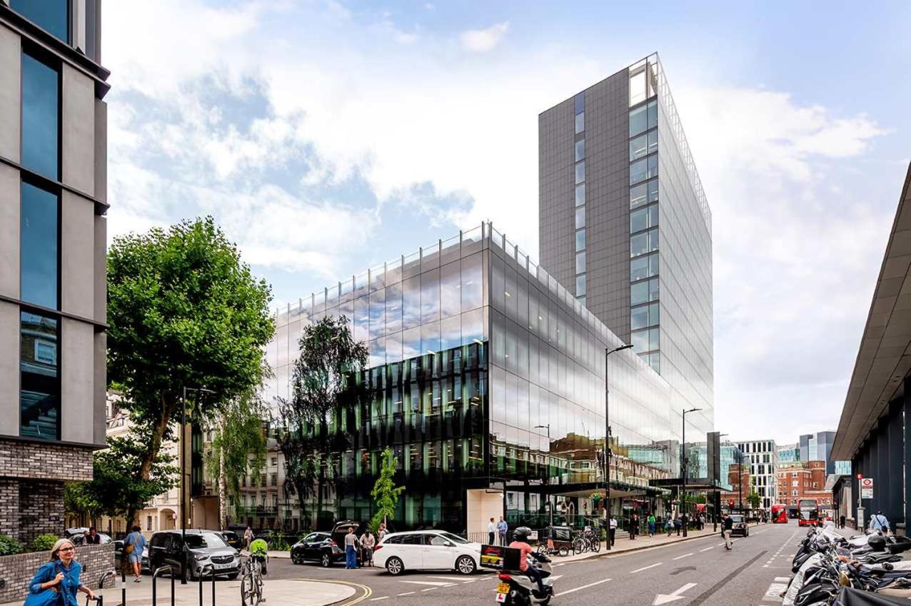 The Paddington Professional - by Out of Office Lifestyle