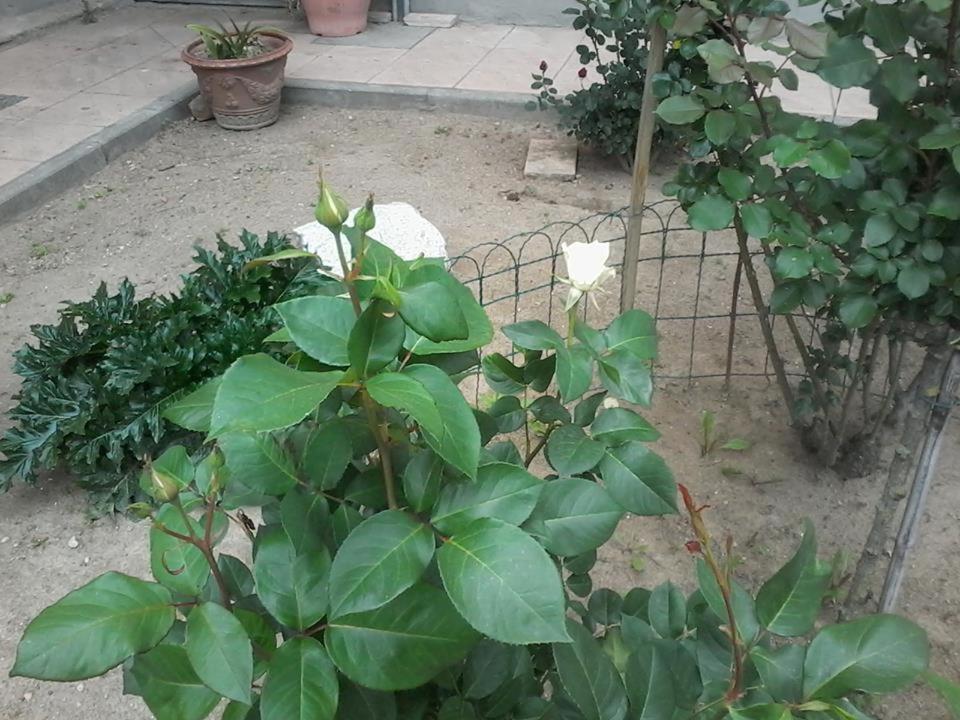 other