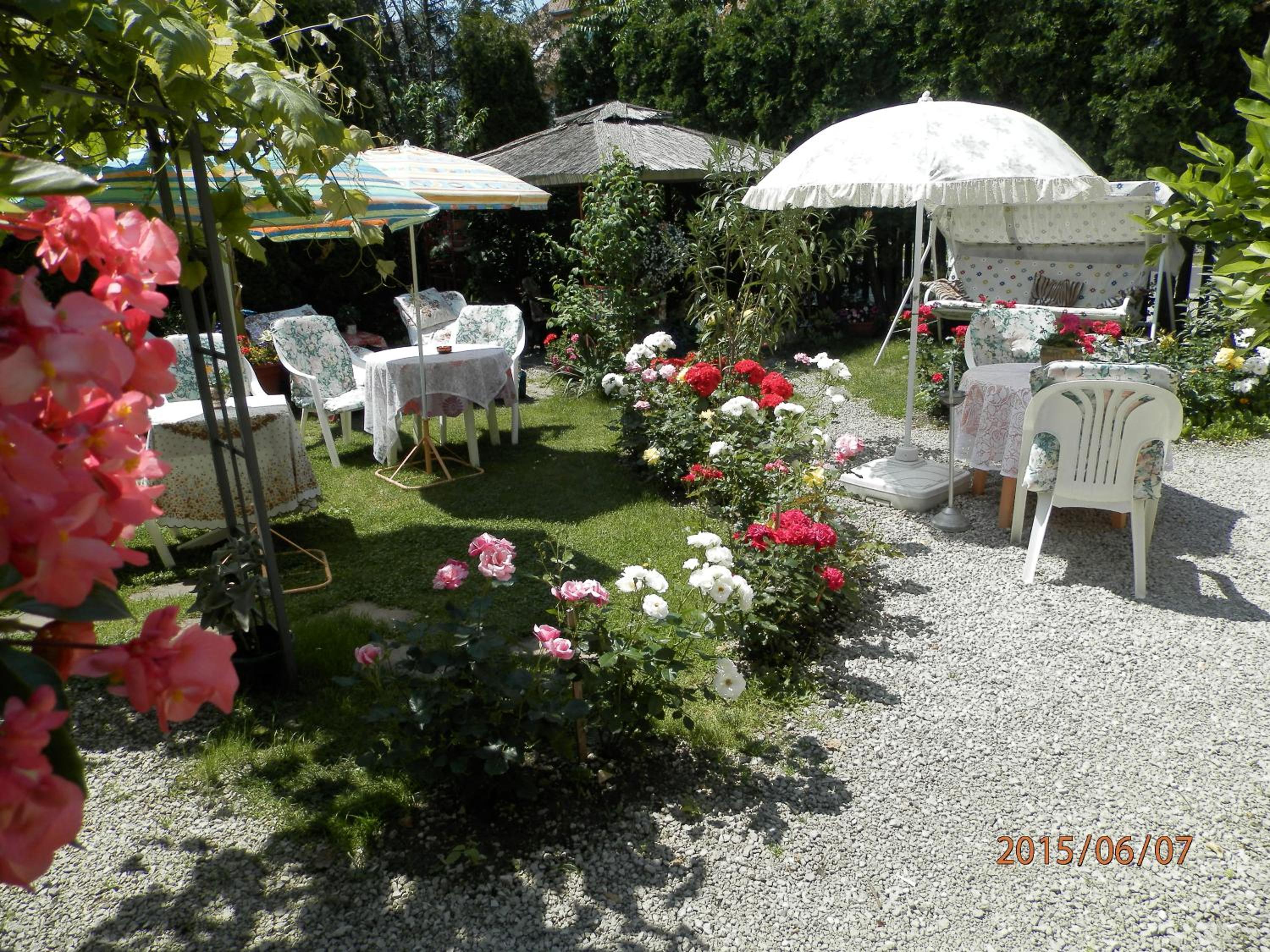 Photo 45