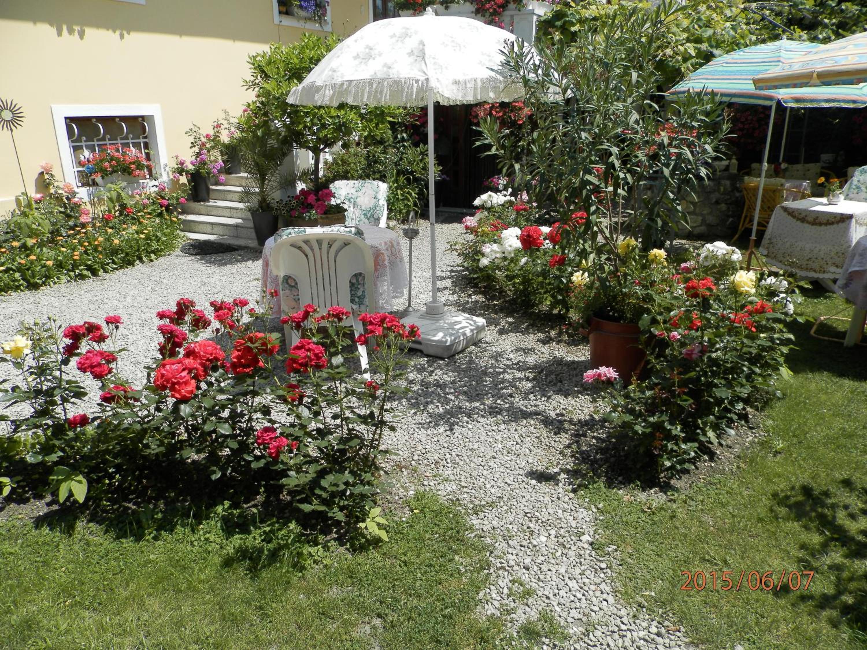 Photo 46