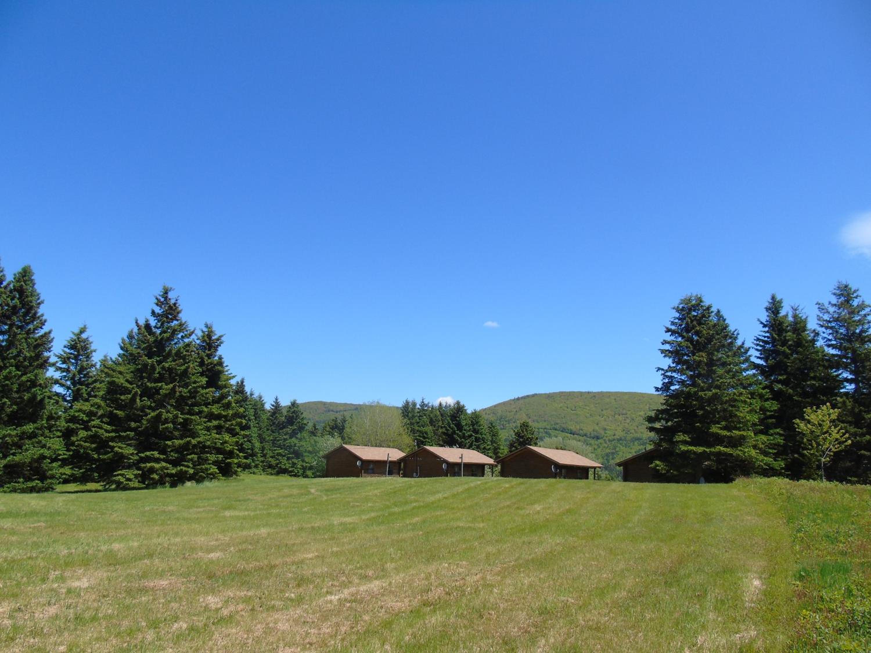 Cajun Cedar Log Cottages Ltd