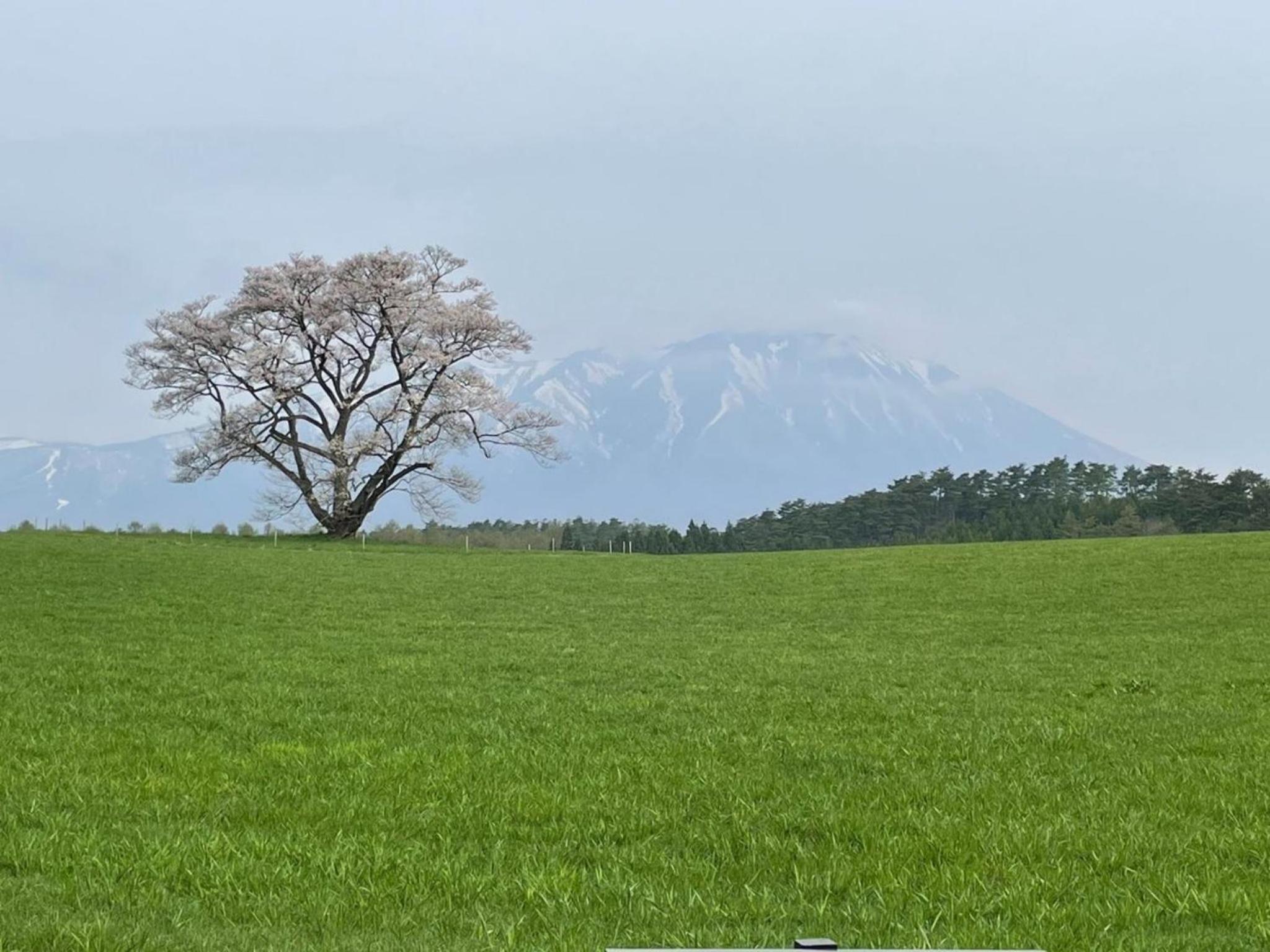 Yamaichi