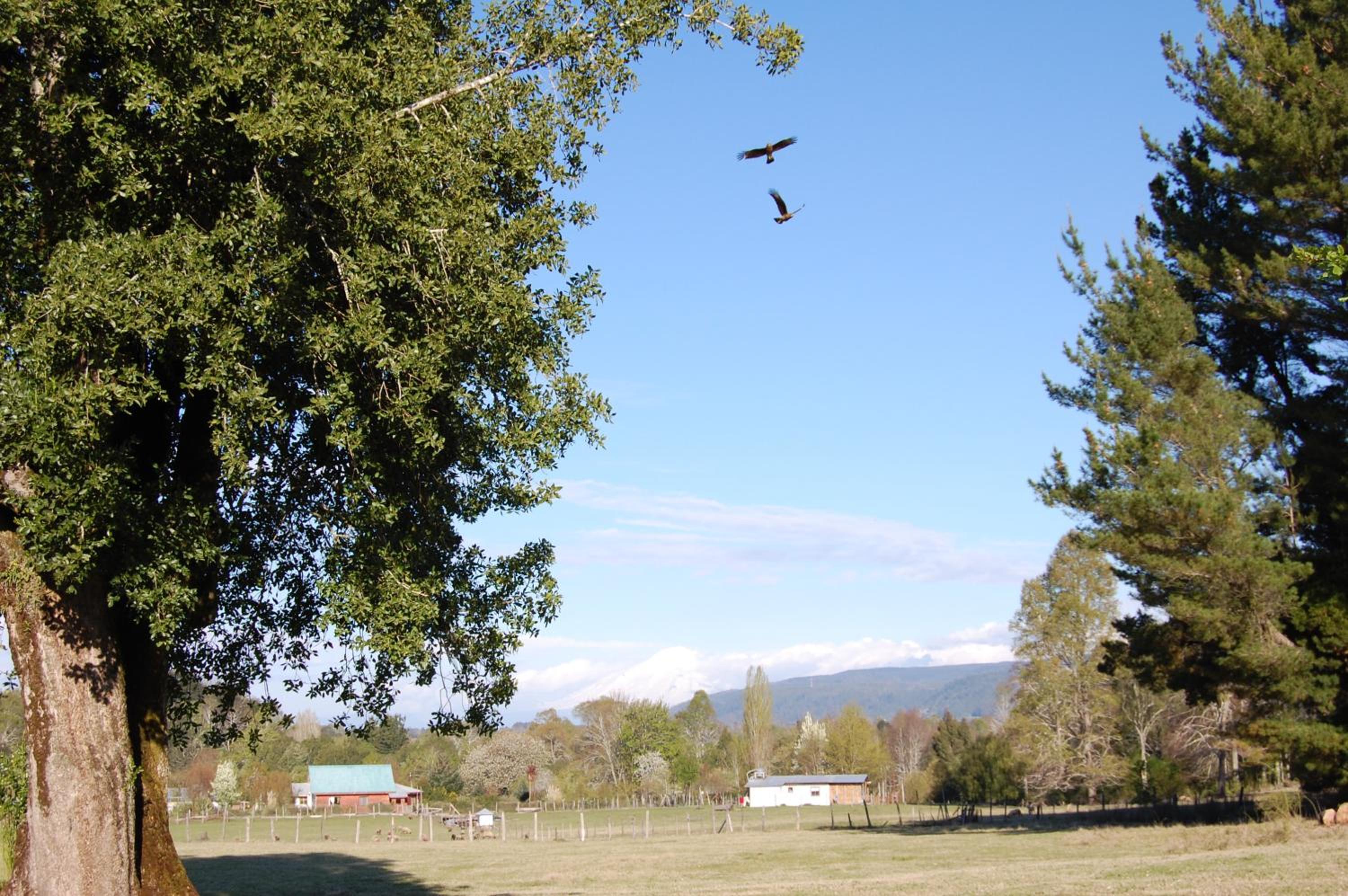 Rancho Saeta