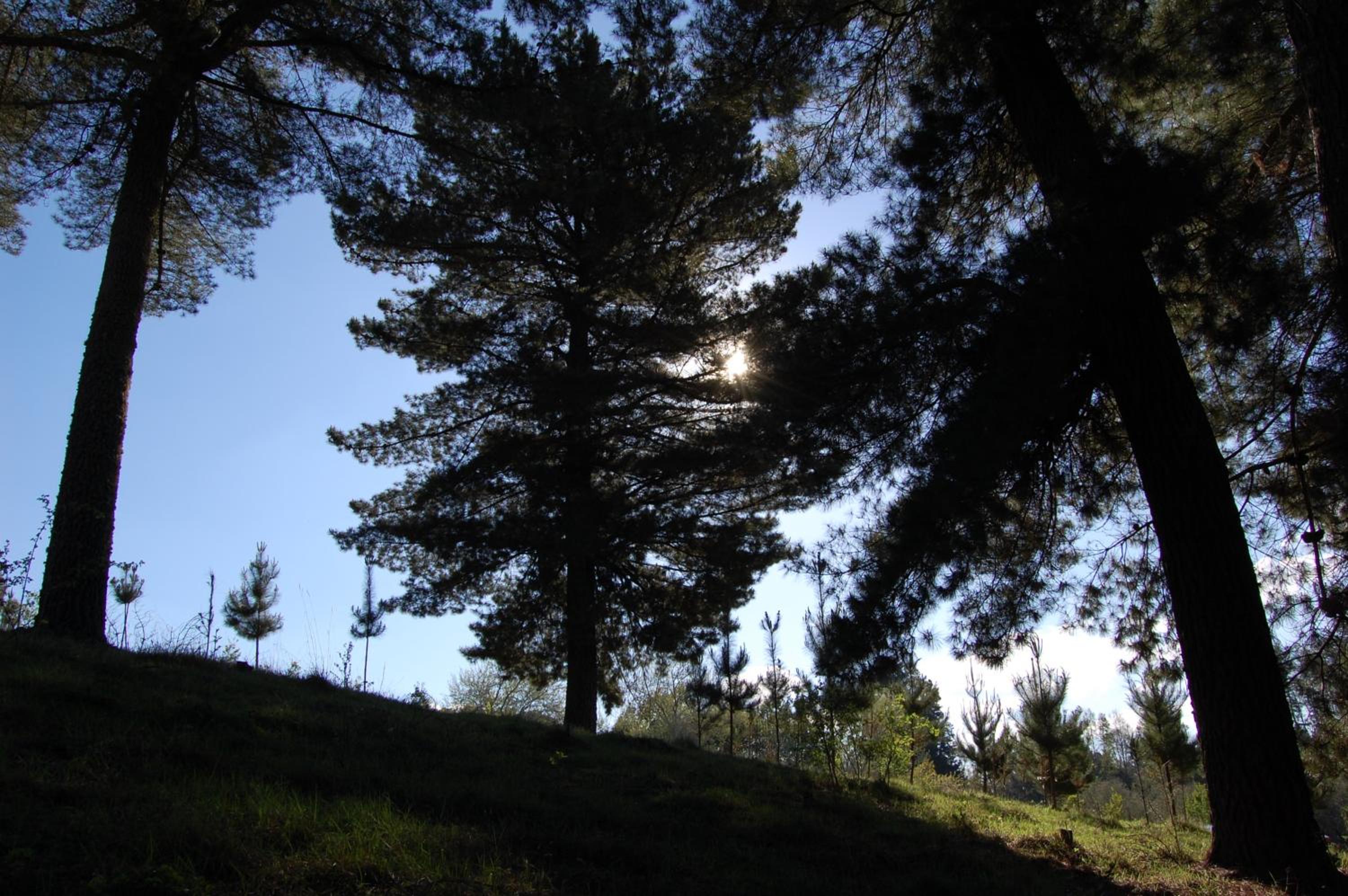 Rancho Saeta
