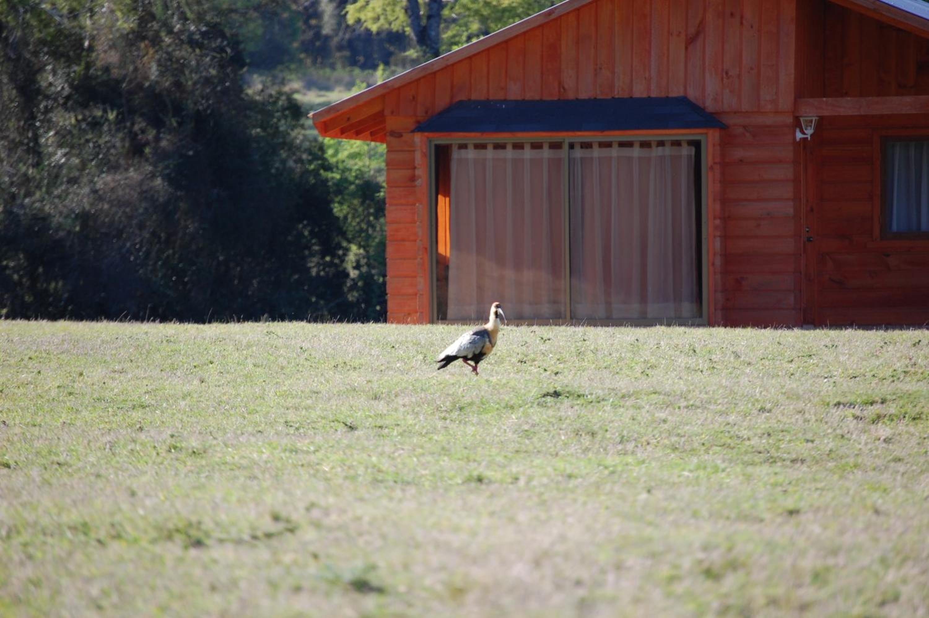 Rancho Saeta