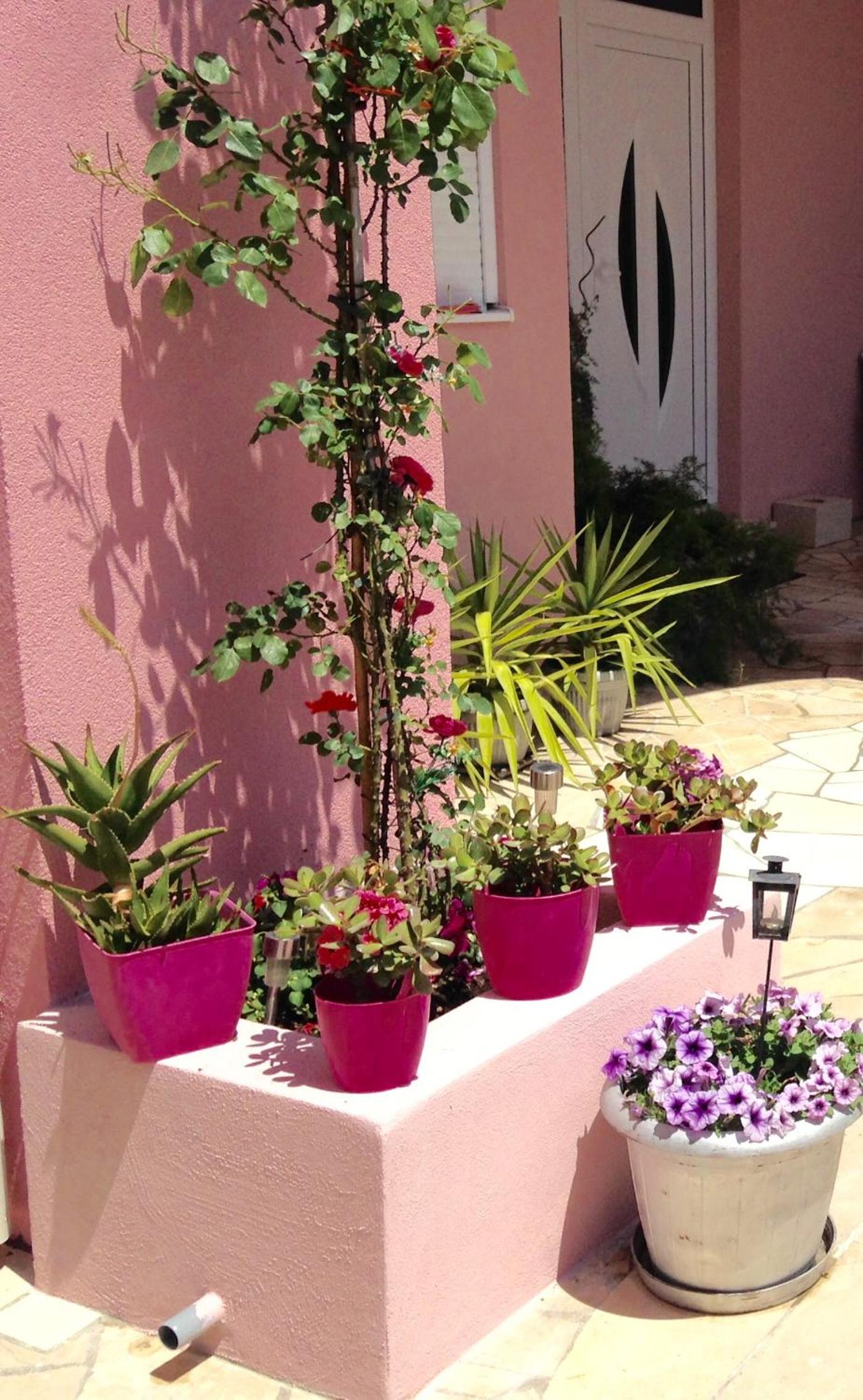 Photo 44