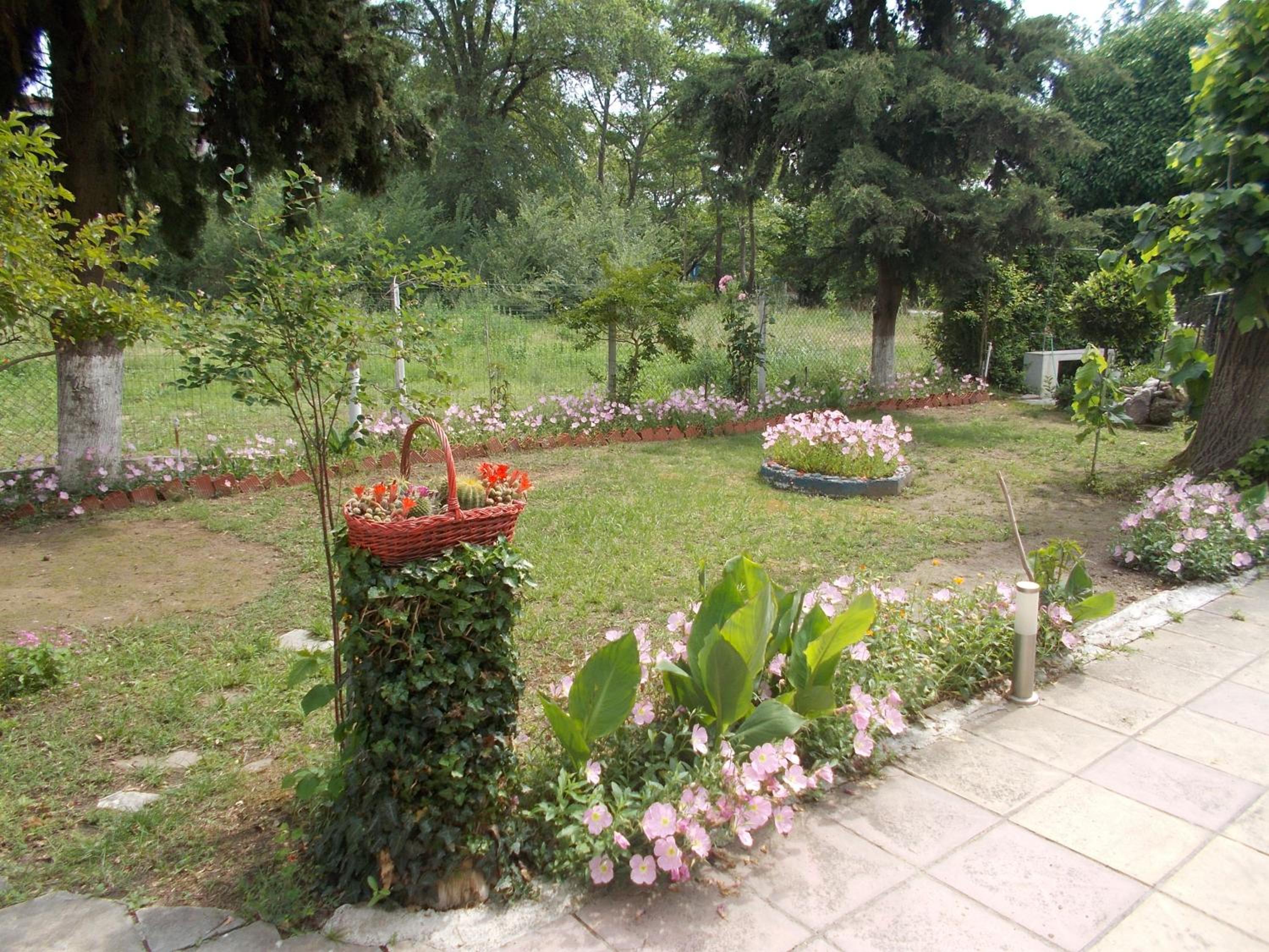 Photo 42