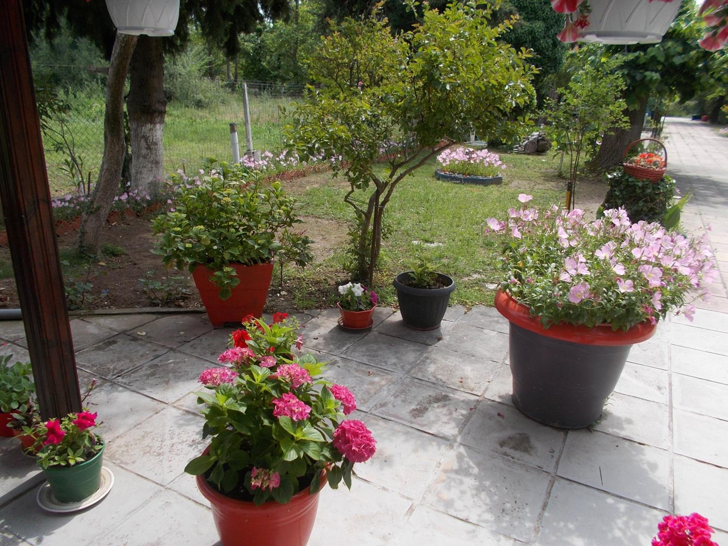 Photo 43