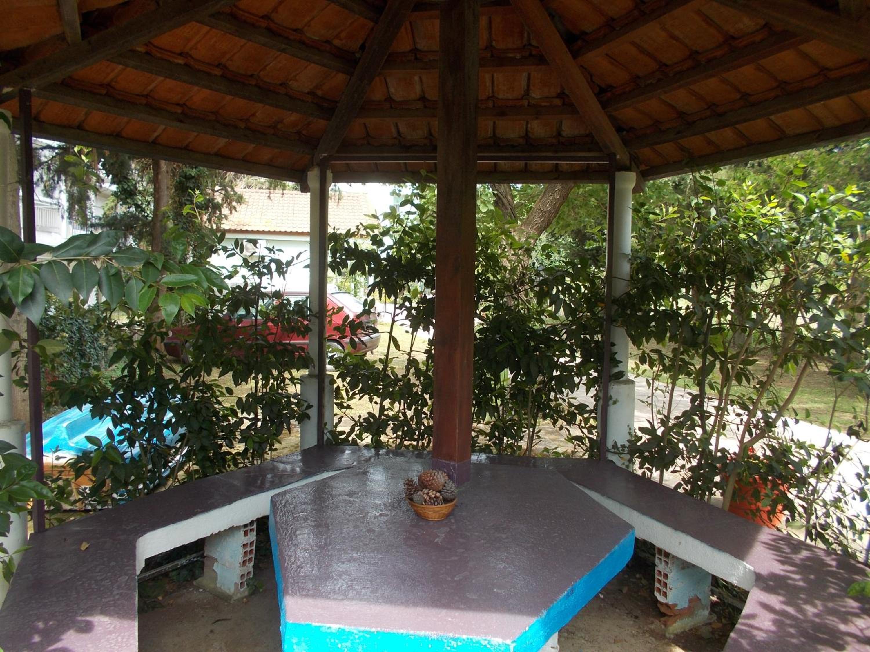 Photo 44
