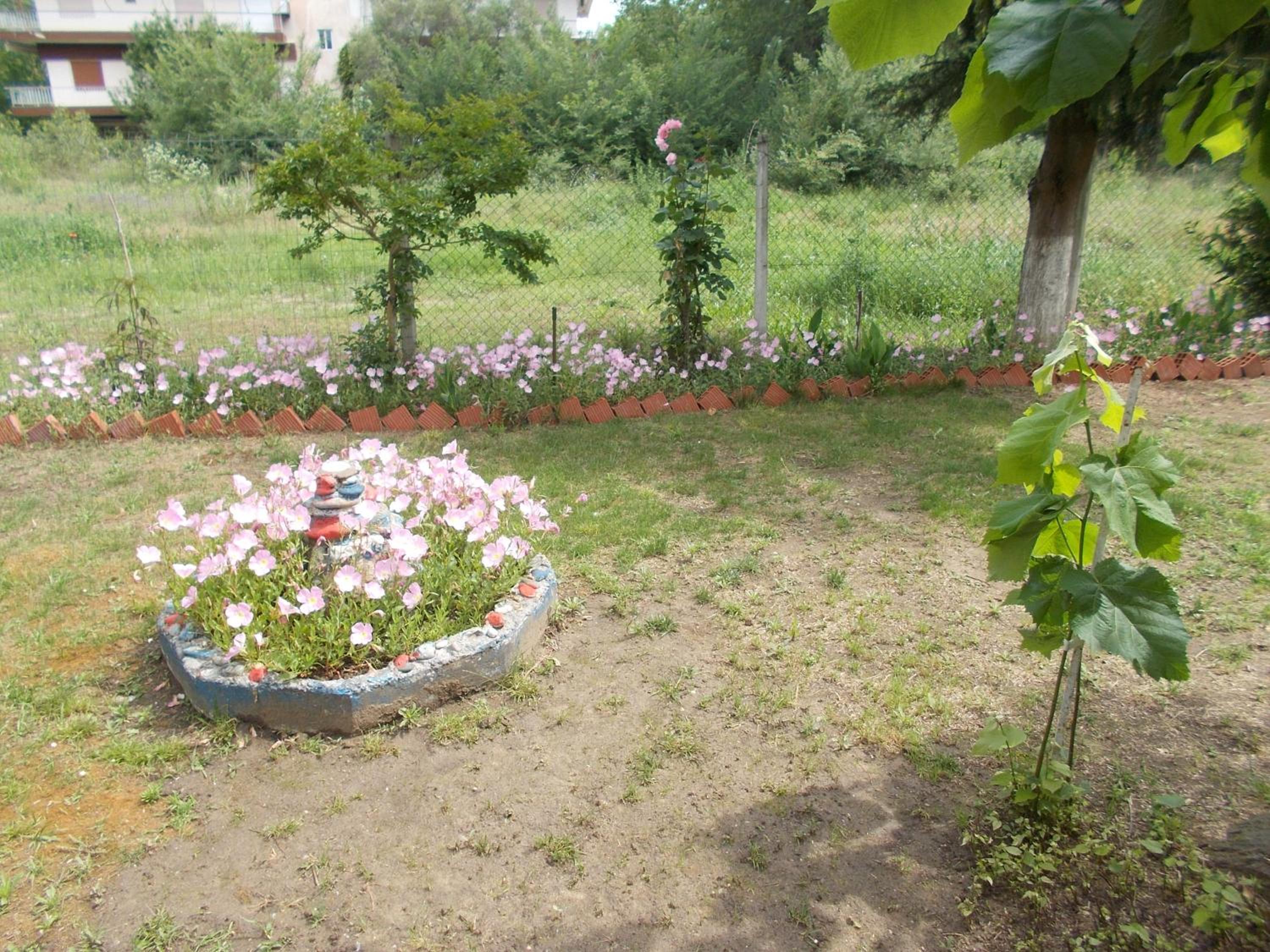 Photo 45