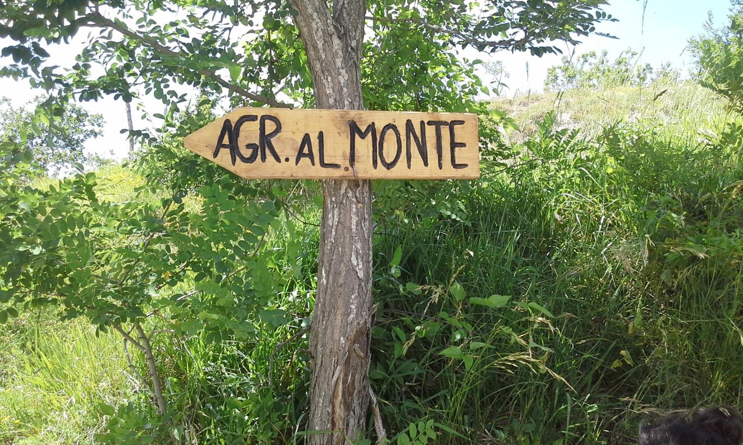 Agriturismo al Monte