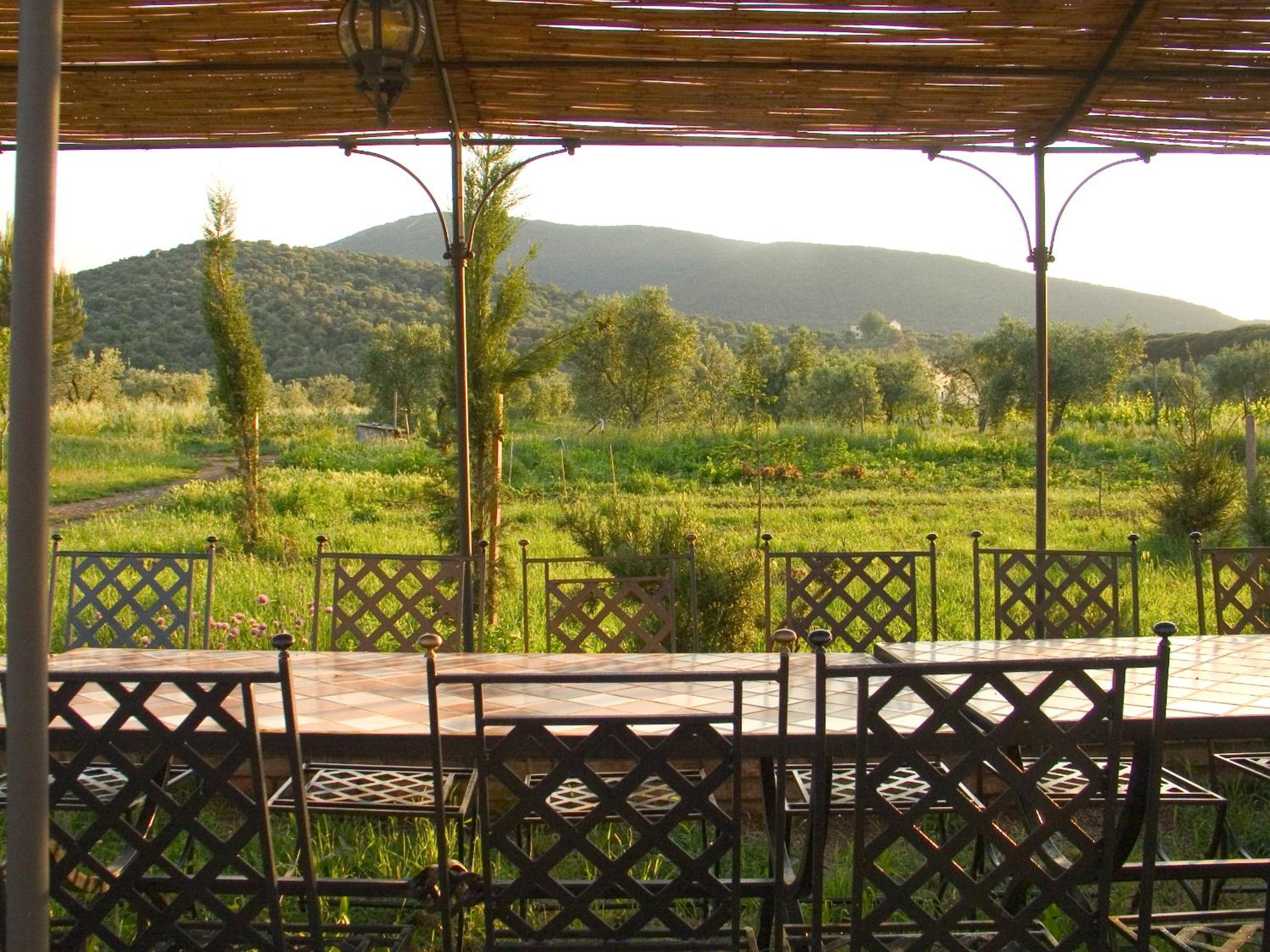 La Pulledraia Del Podere Montegrappa view 3