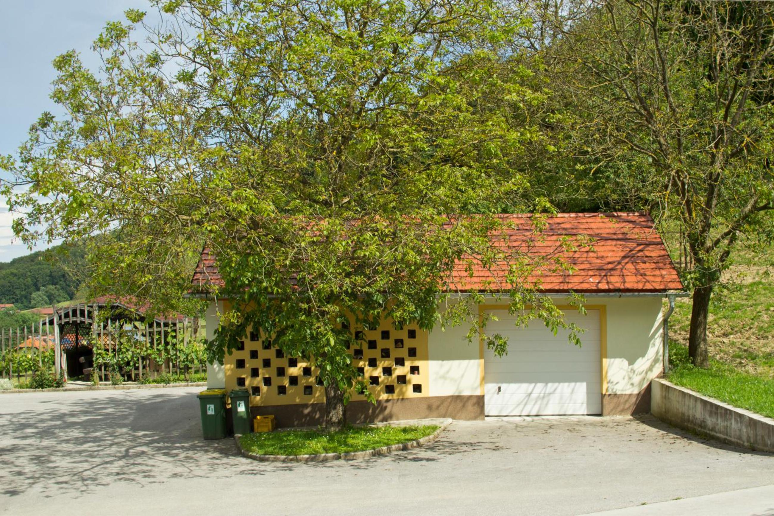 Photo 27